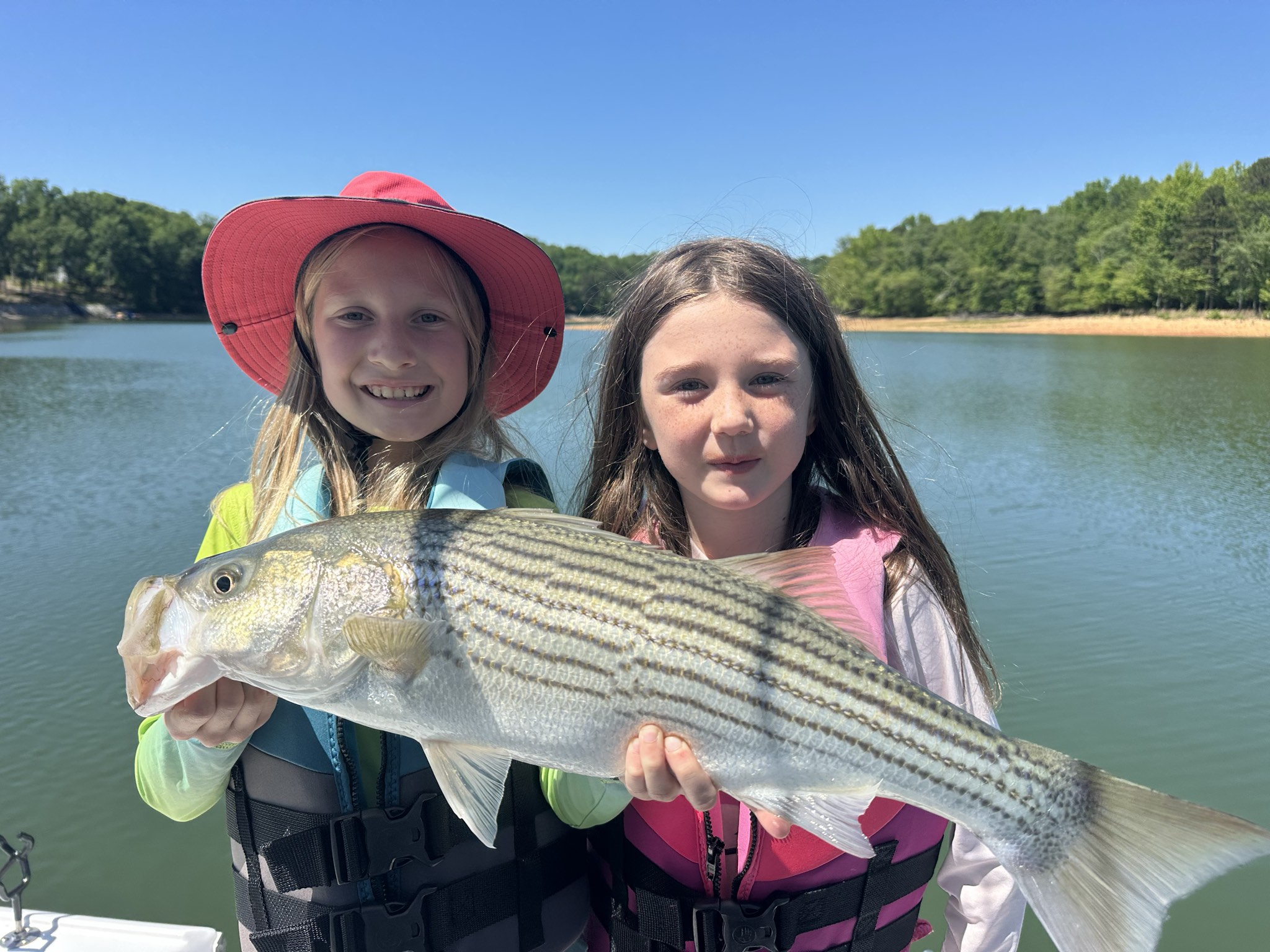 Striped Bass — May 2026