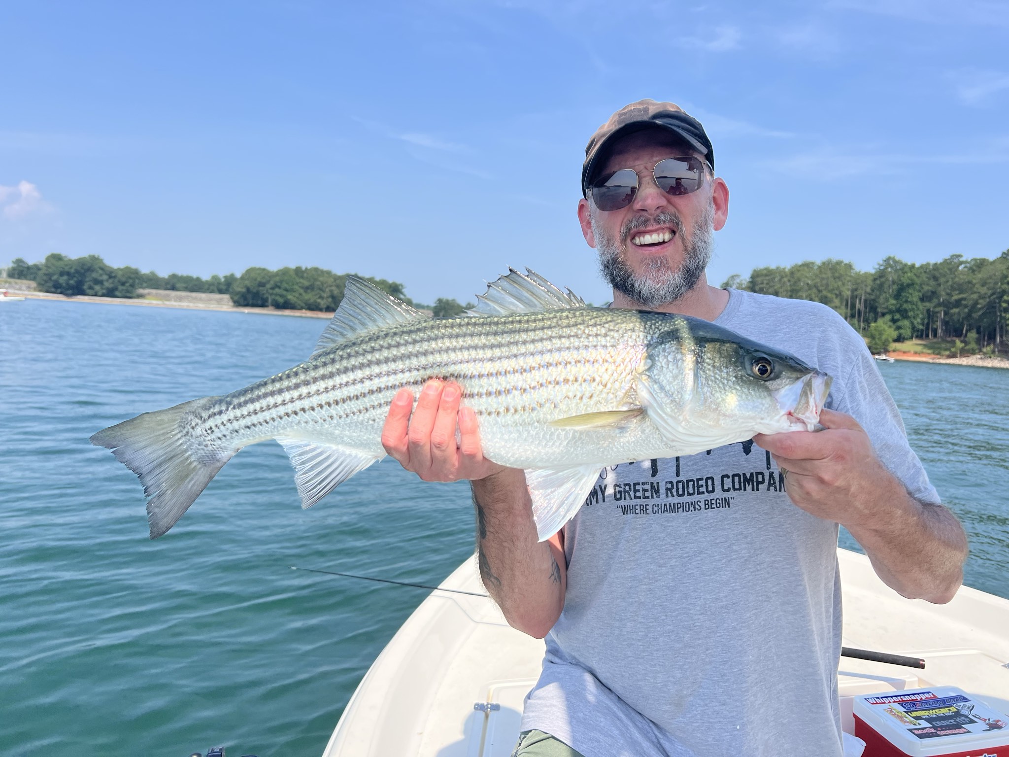 Trophy Striped Bass Lake Lanier Summer
