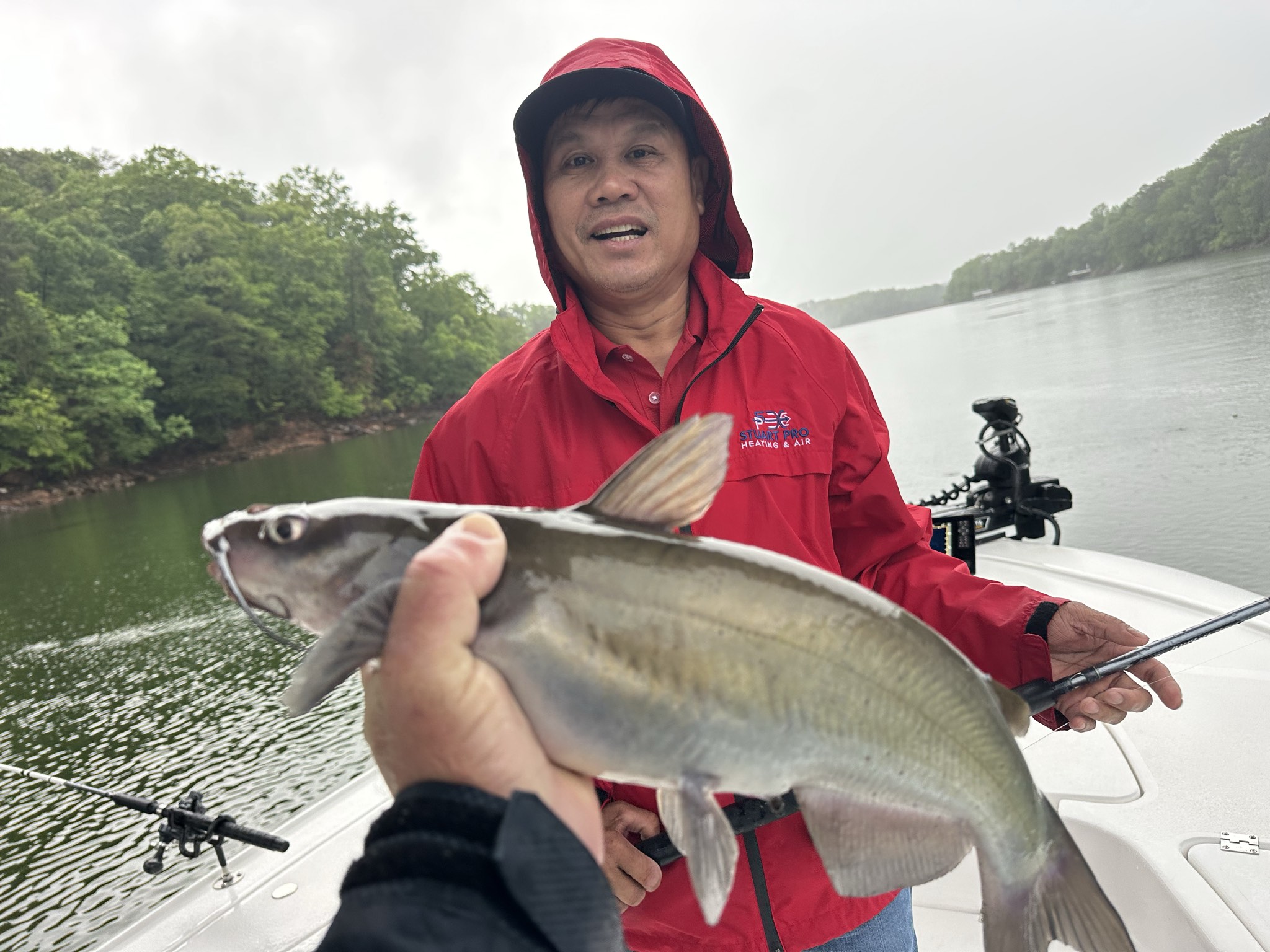 Lake Lanier May Striped Bass Success