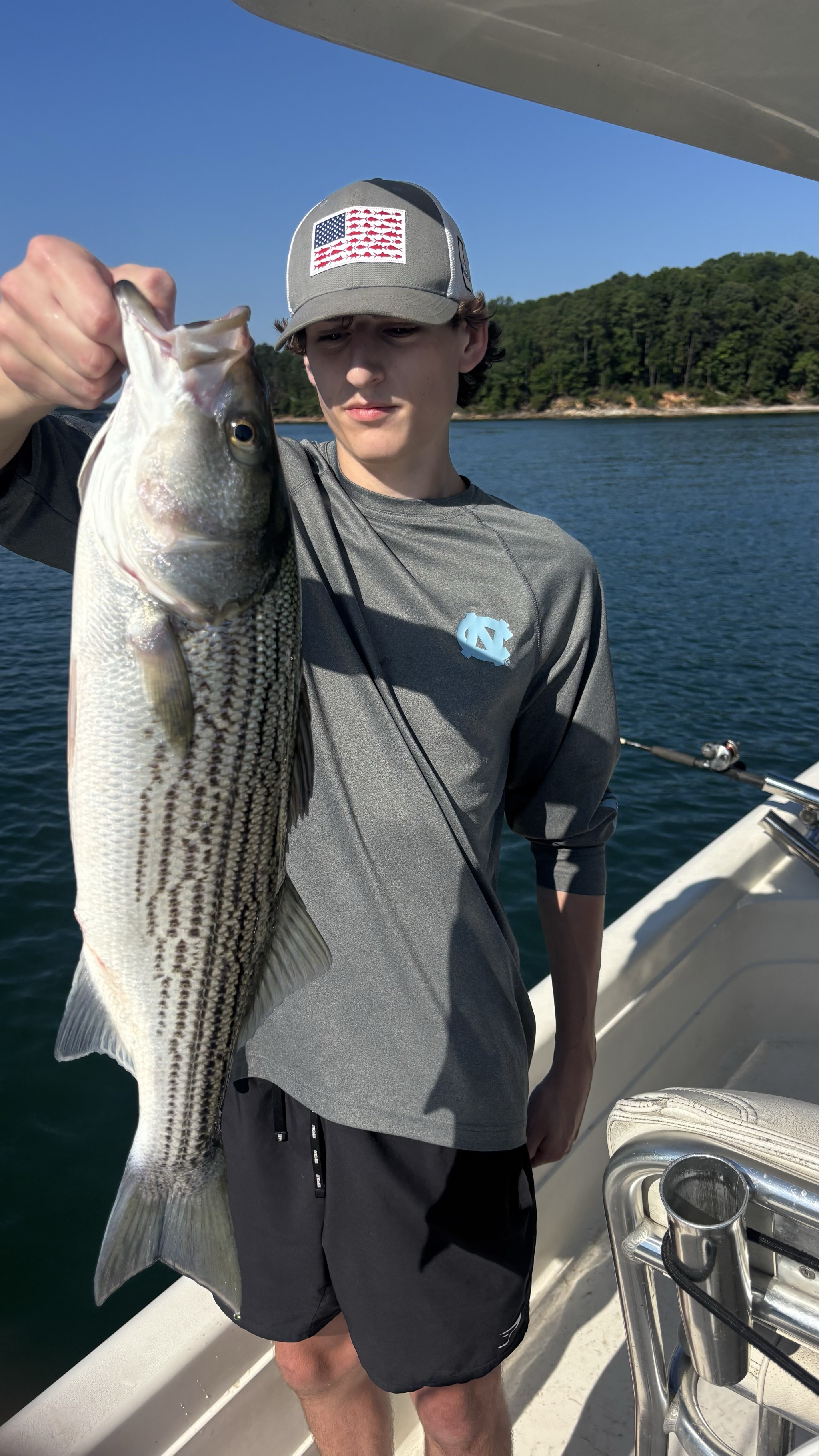 Summer Stripers Dominate Lake Lanier