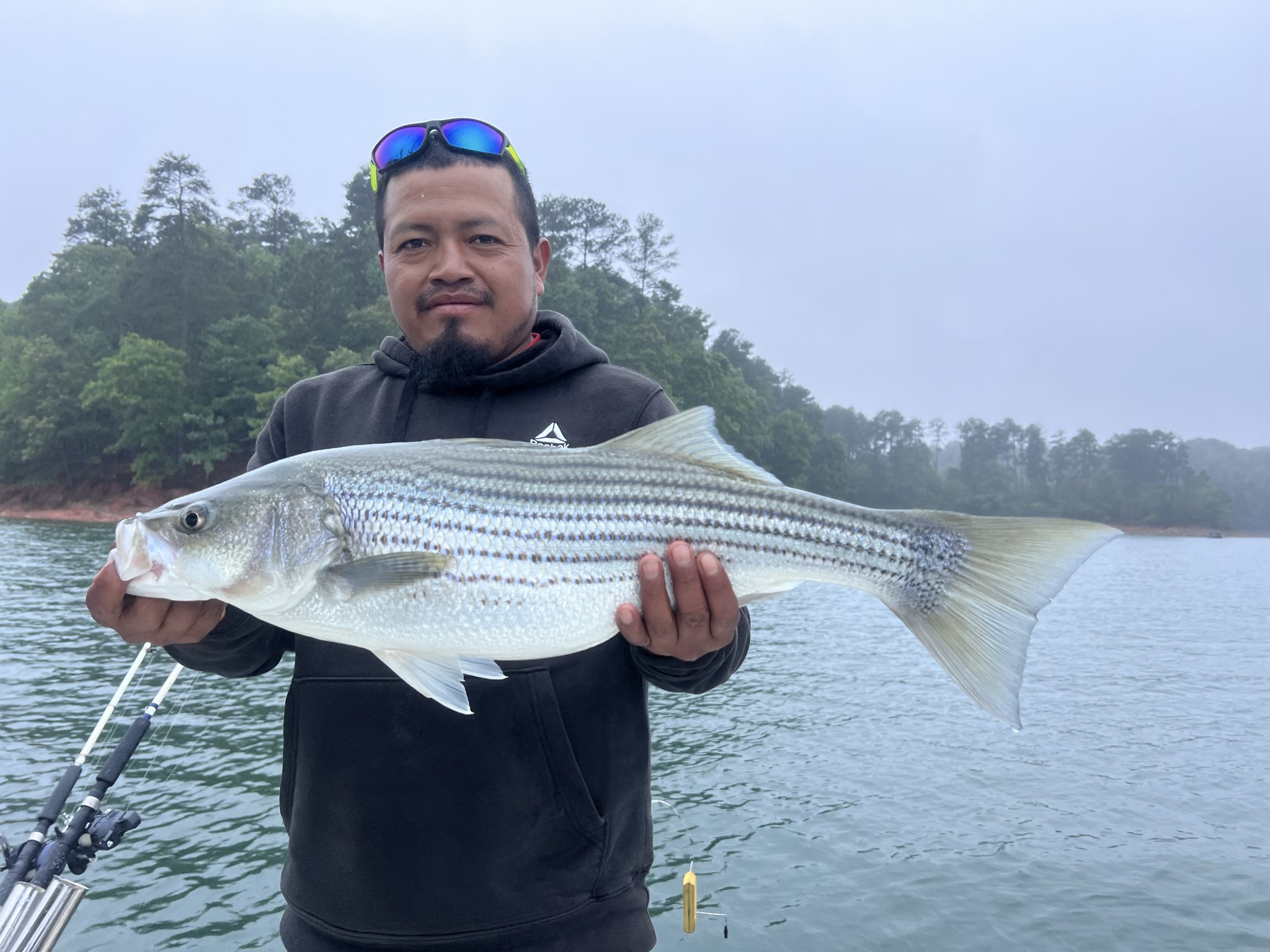 Striped Bass Success On Lake Lanier