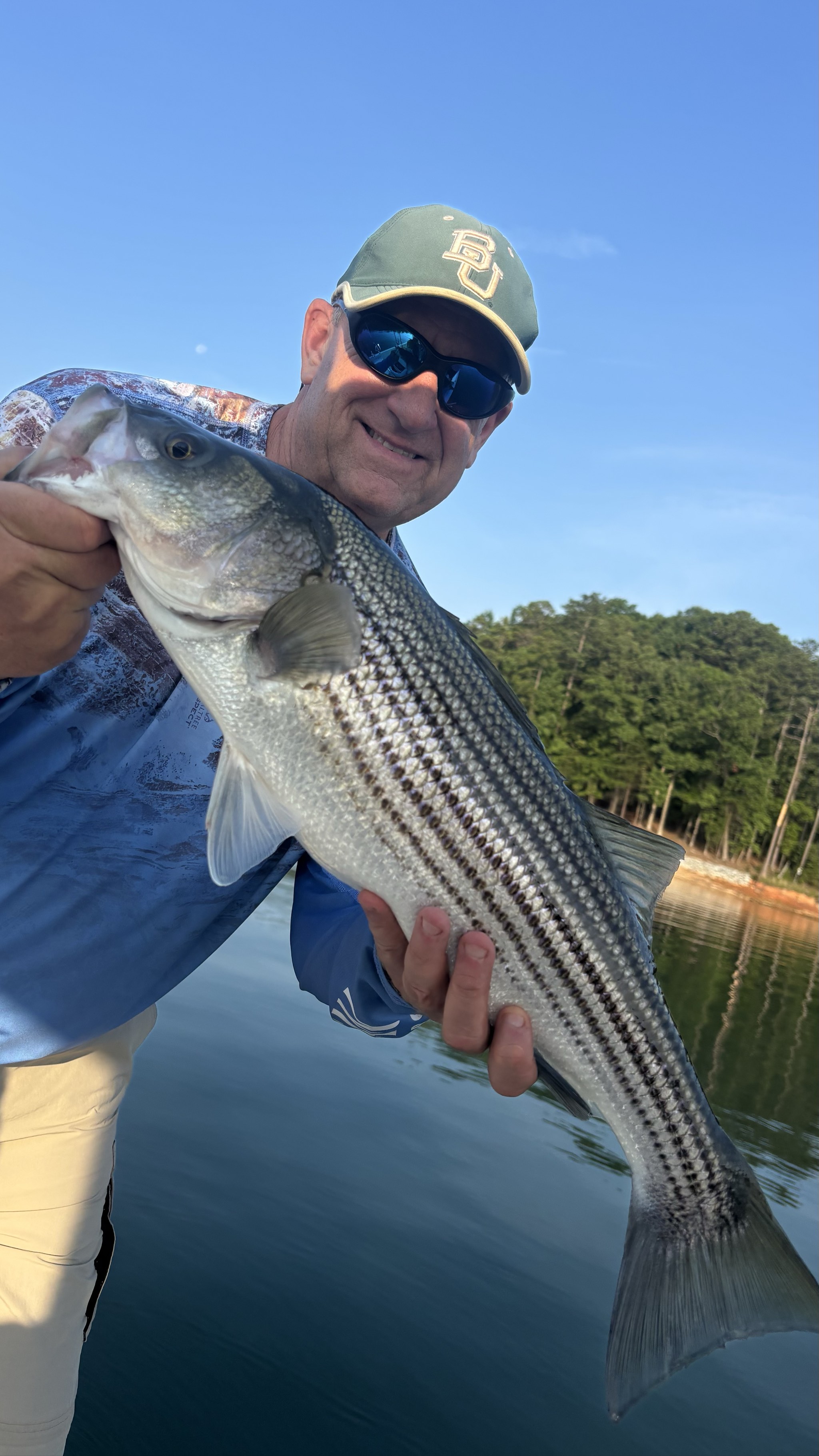 Trophy Striped Bass on Lake Lanier