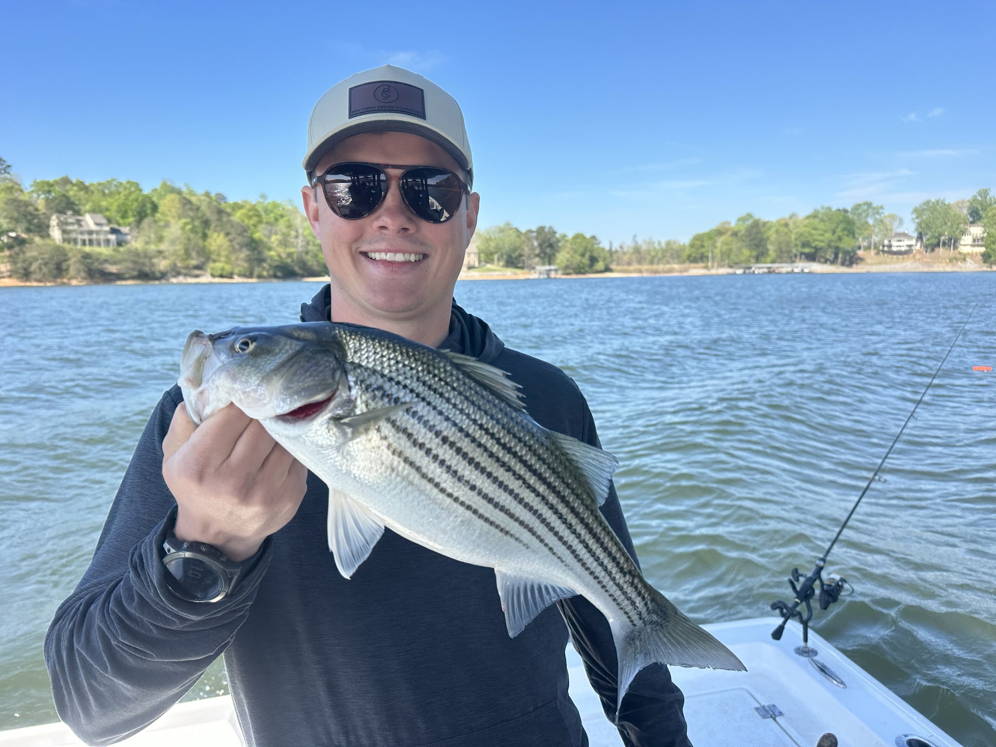 Striped And Spotted Bass Lake Lanier April