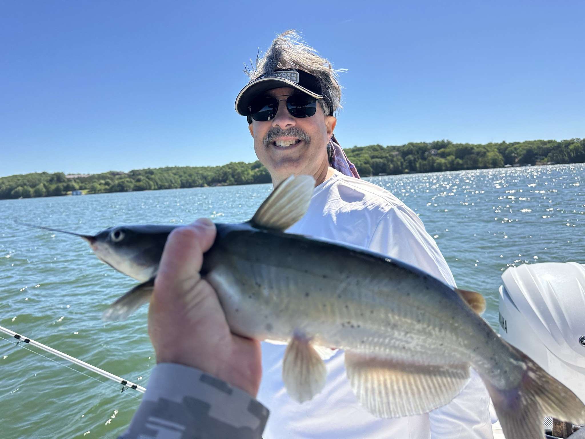 Striped Bass — May 2026