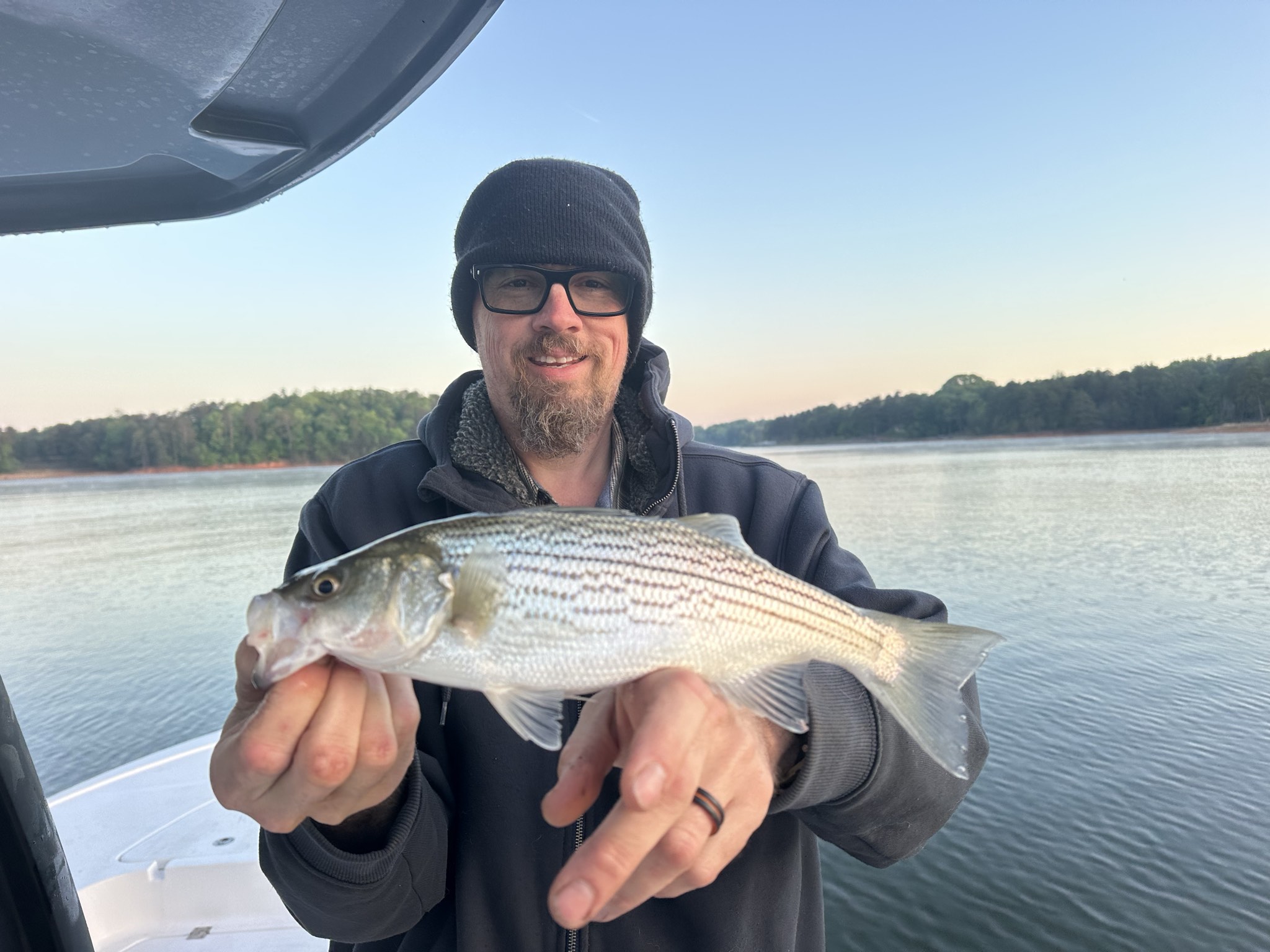 Striped Bass And Spotted Bass On Lake Lanier