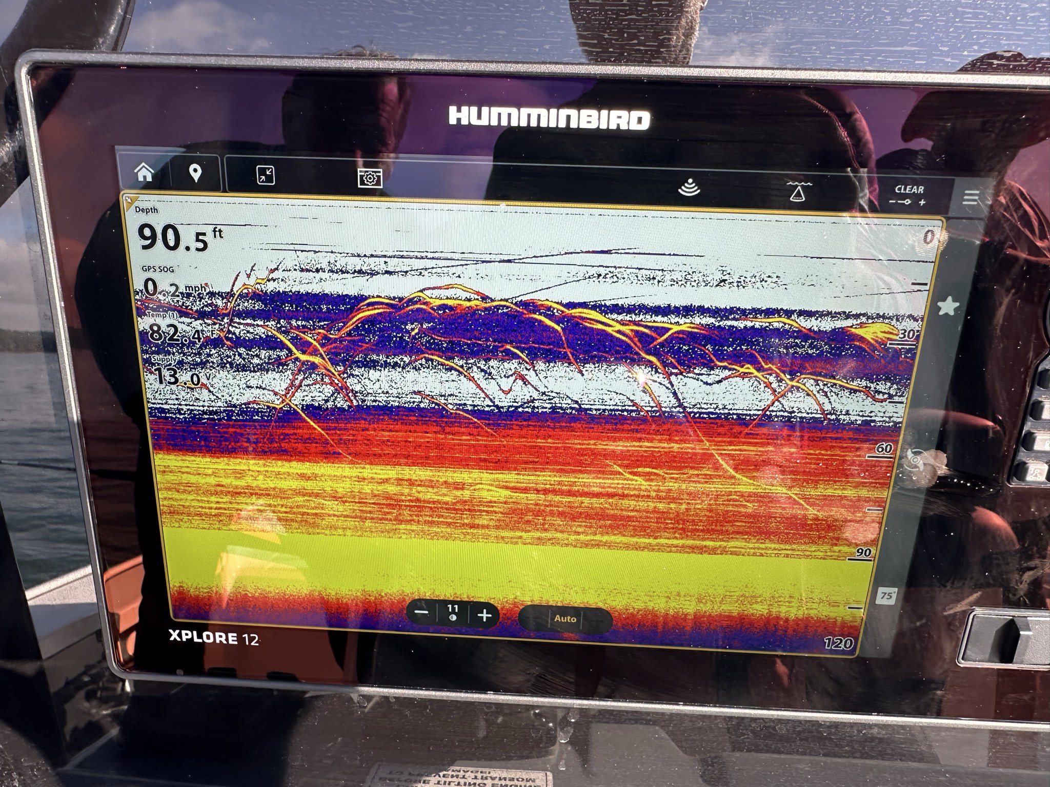 Striped Bass — June 2026