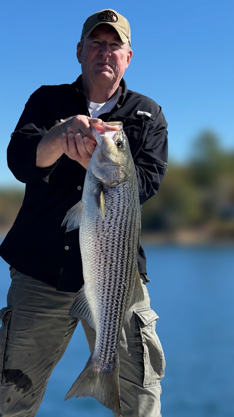 September Striped Bass Action at Lake Lanier