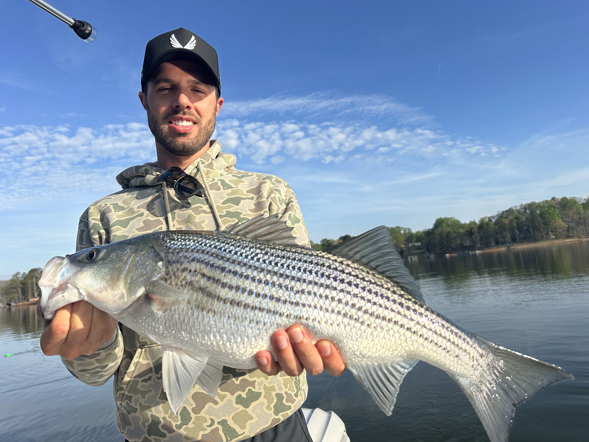 Striped Bass — April 2026