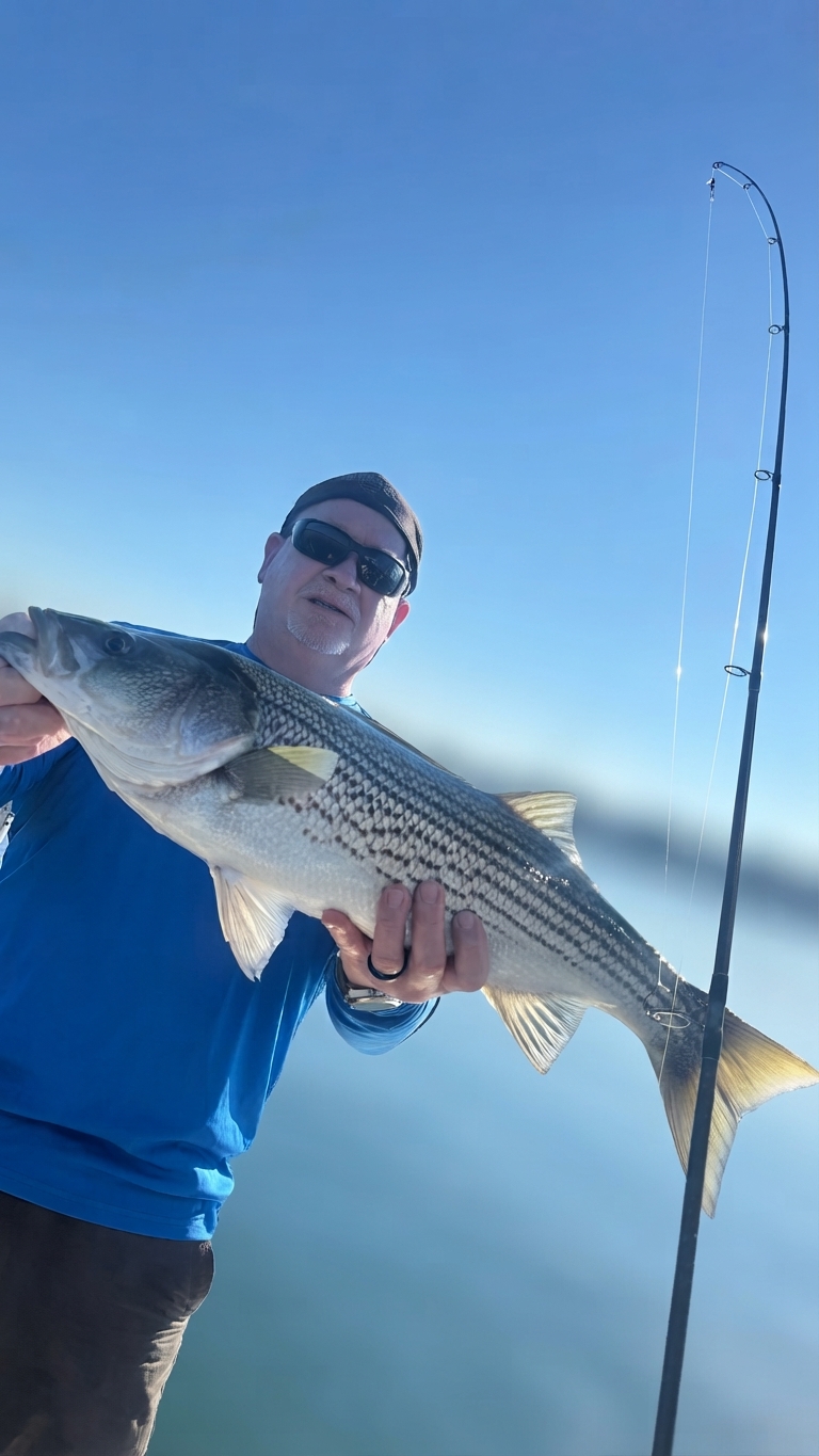 Striped bass caught on Lake Lanier, Oct 15, 2026
