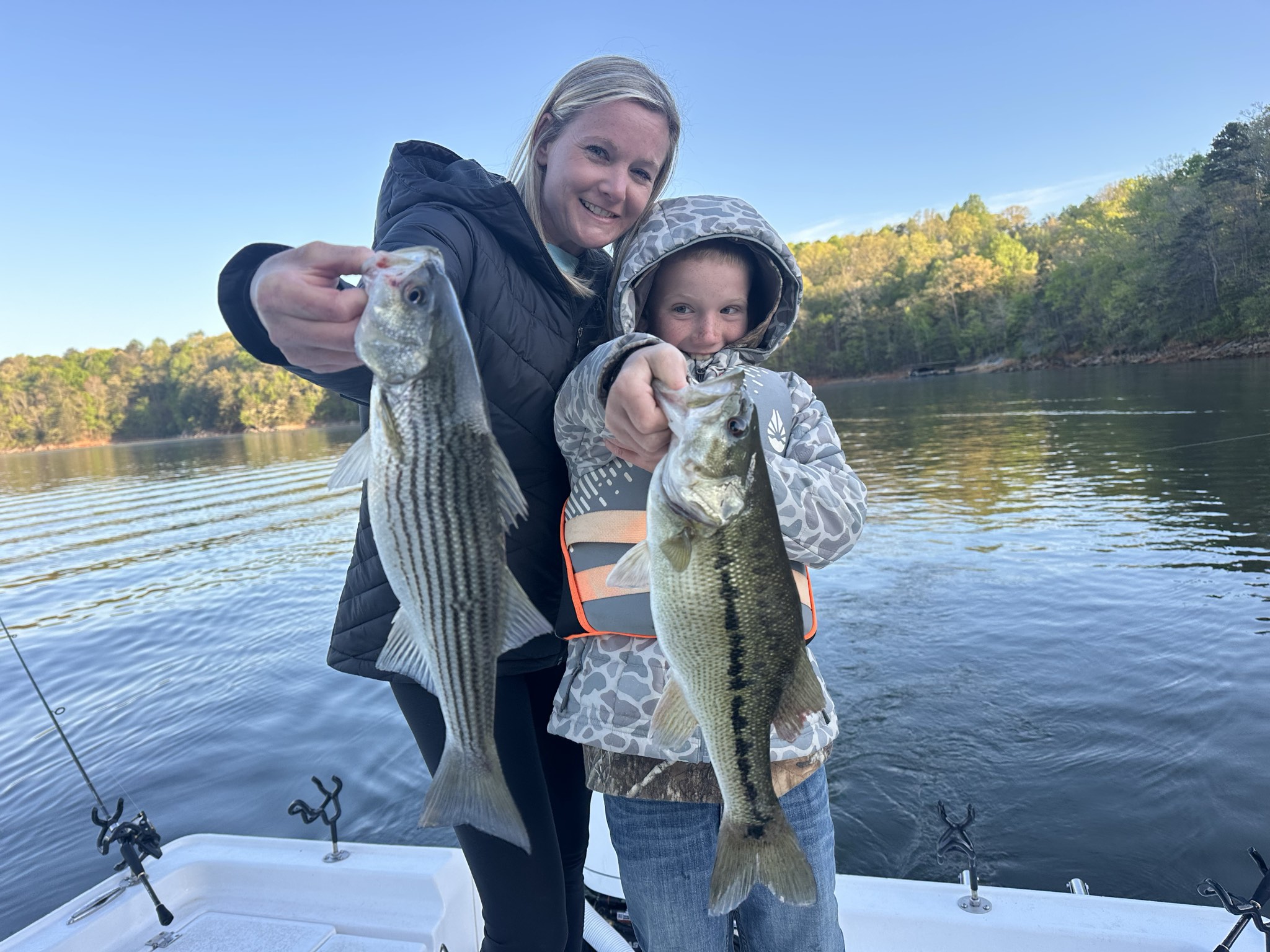 Striped Bass — April 2026
