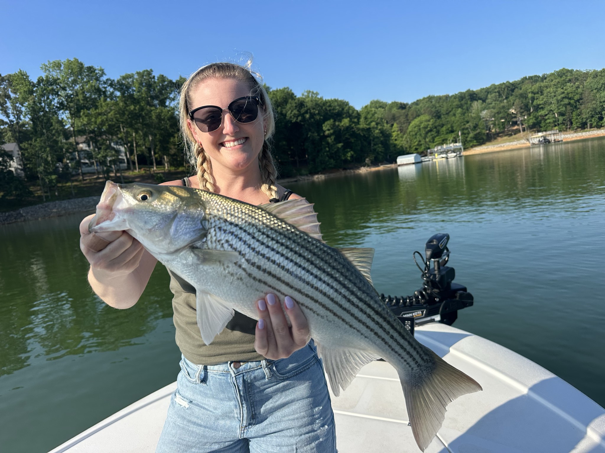 Striped Bass — May 2026