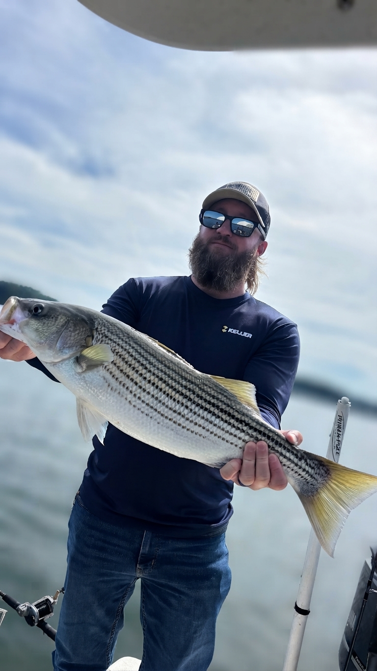Striped bass caught on Lake Lanier, Oct 8, 2026