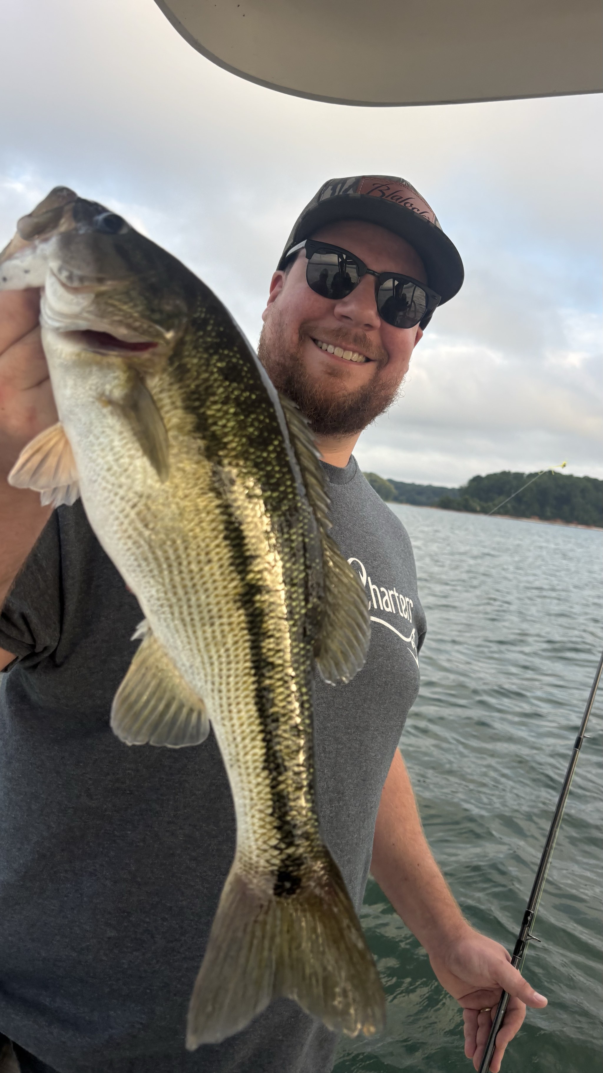 August Striped Bass Action on Lake Lanier