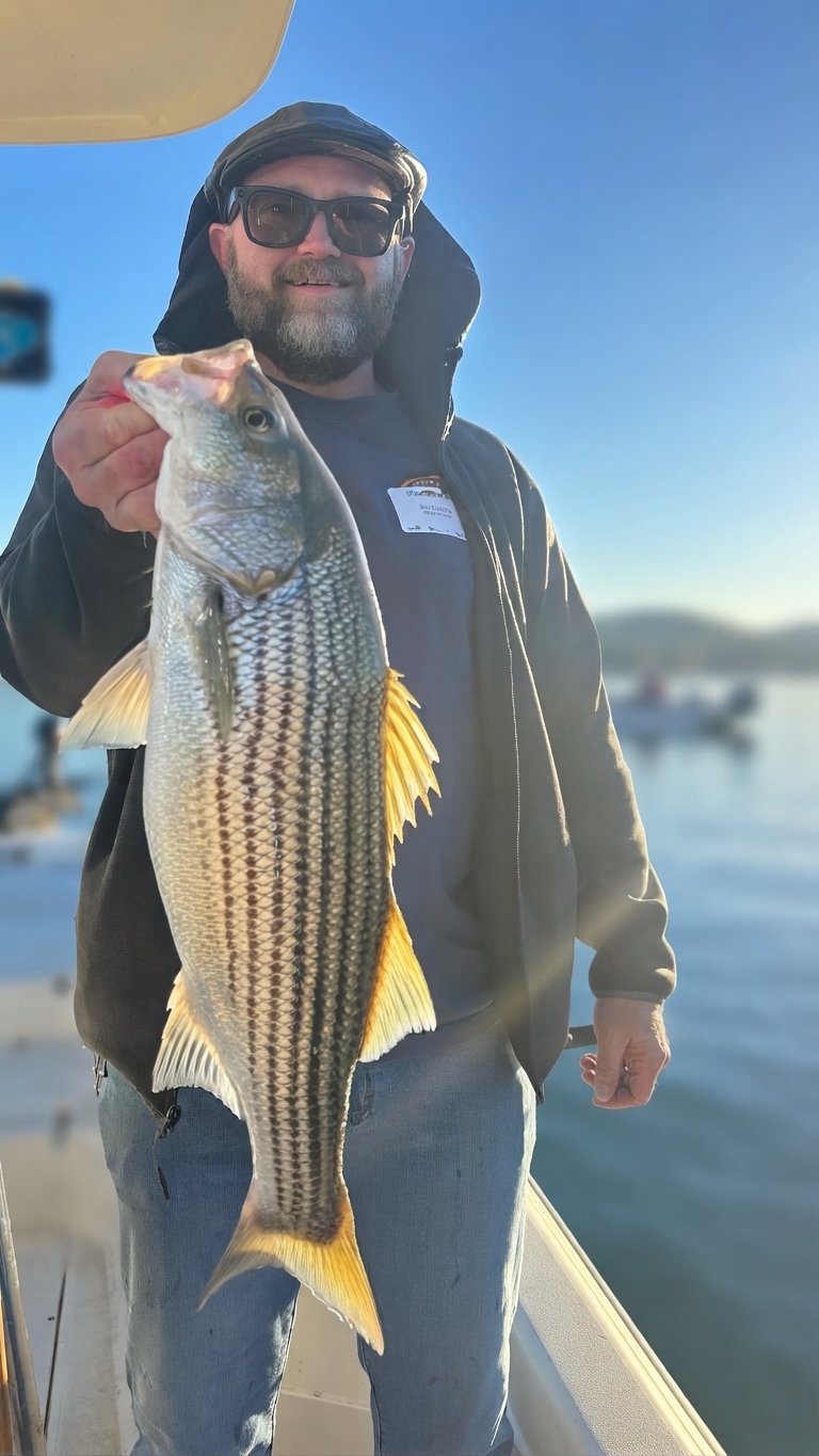 Striped bass caught on Lake Lanier, Oct 23, 2026