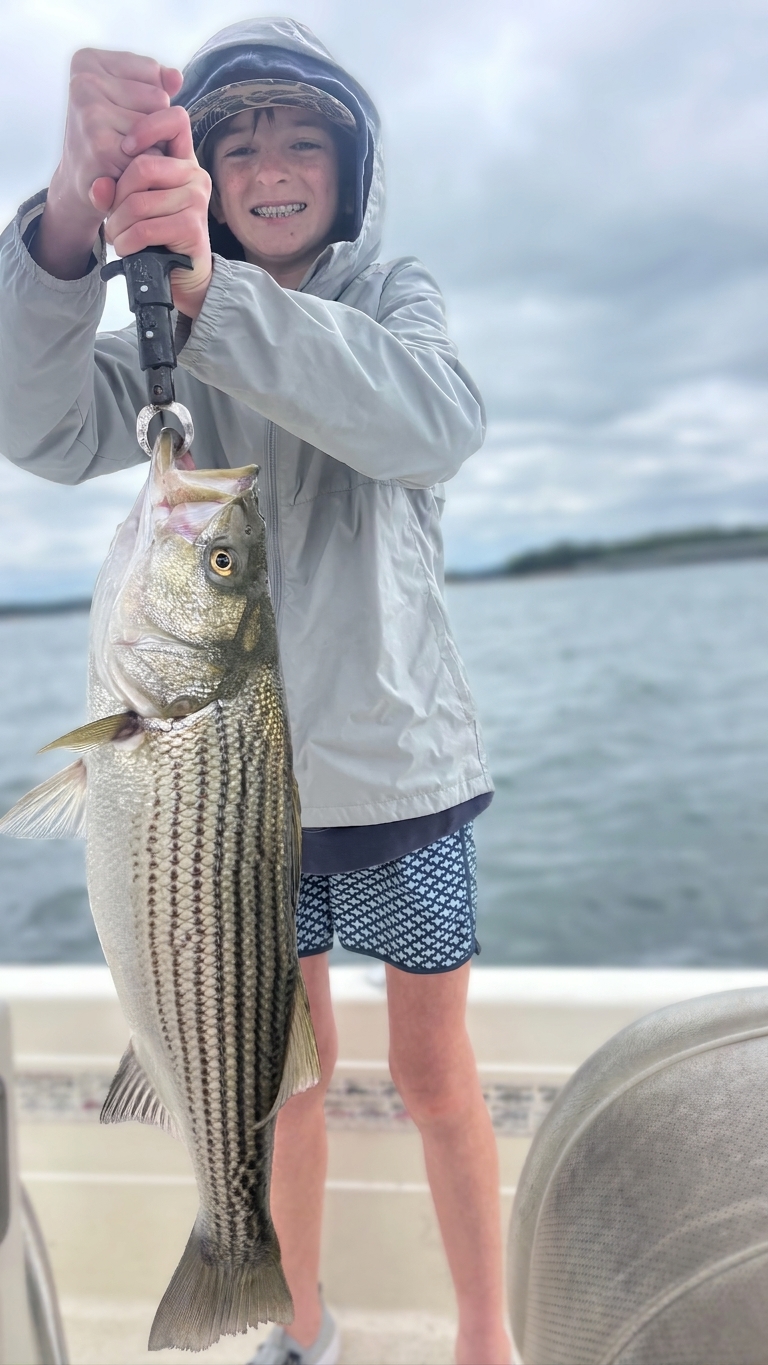 Striped bass caught on Lake Lanier, Sept 24, 2026