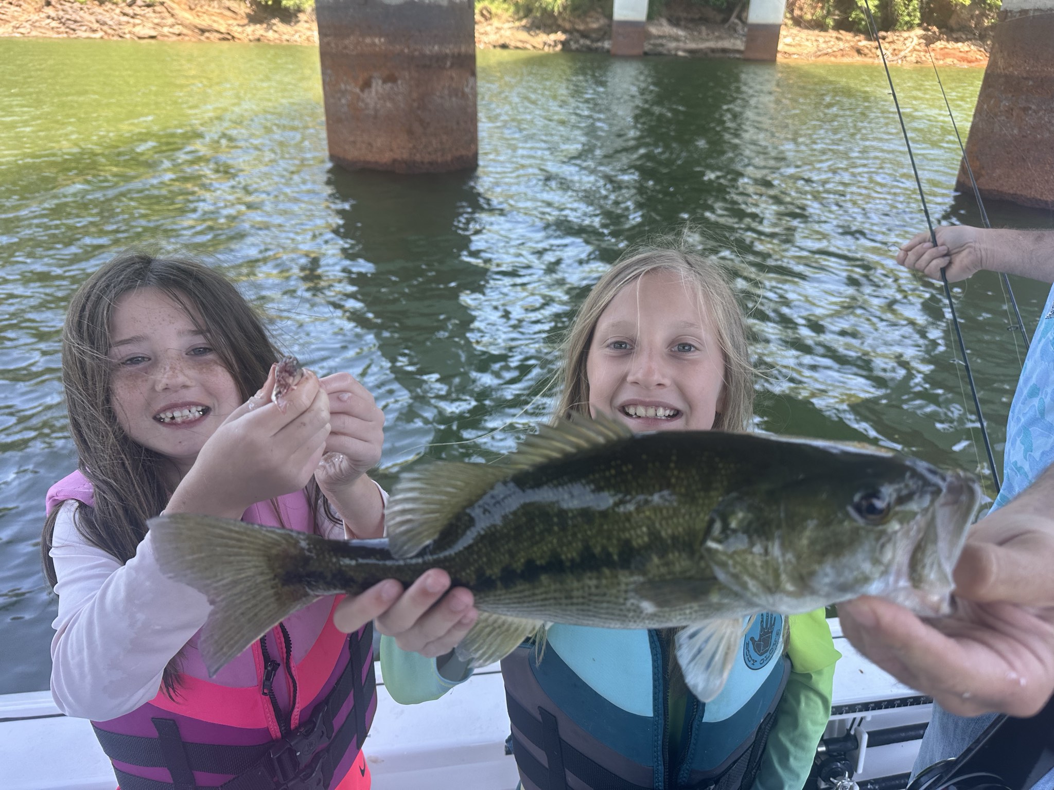 Striped Bass — May 2026