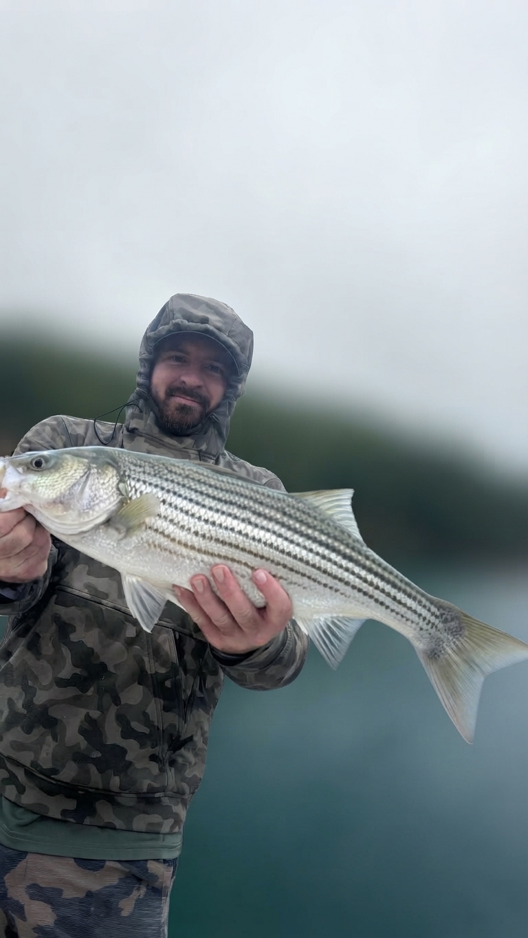 Lake Lanier Channel catfish — October 2026