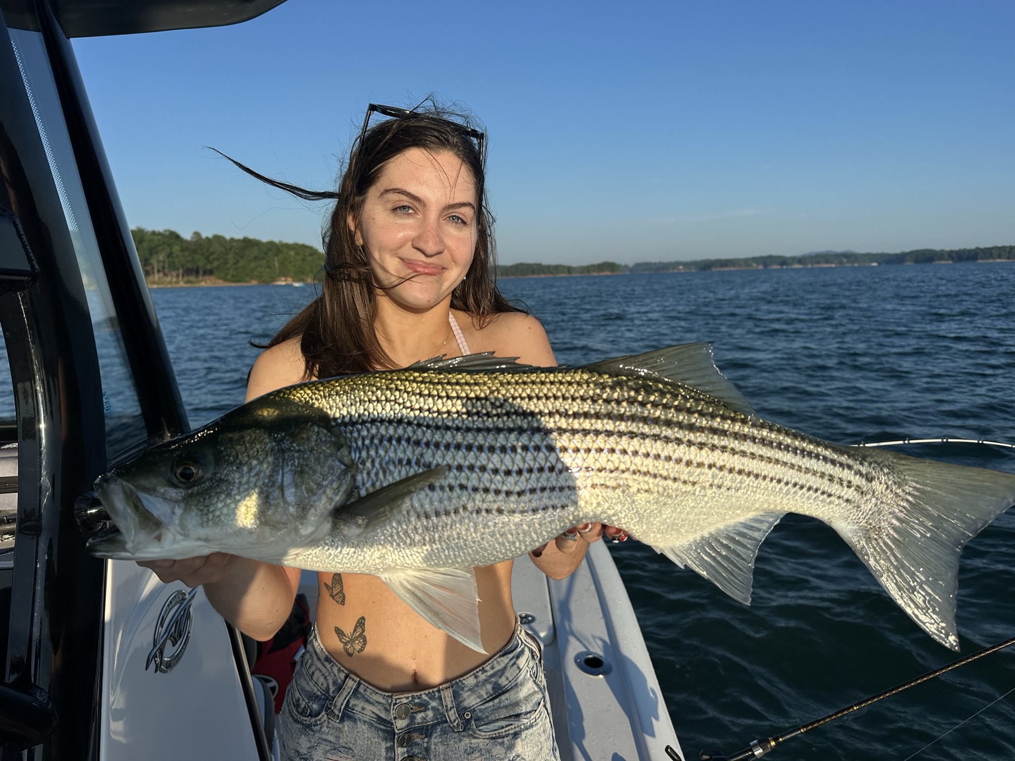 Summer Trophy Bass Action Lake Lanier