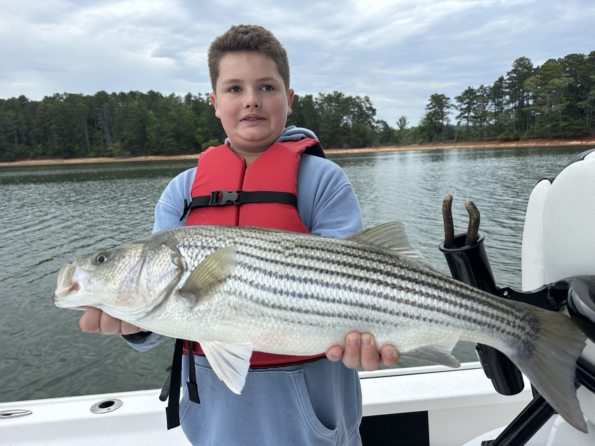 Striped Bass — May 2026