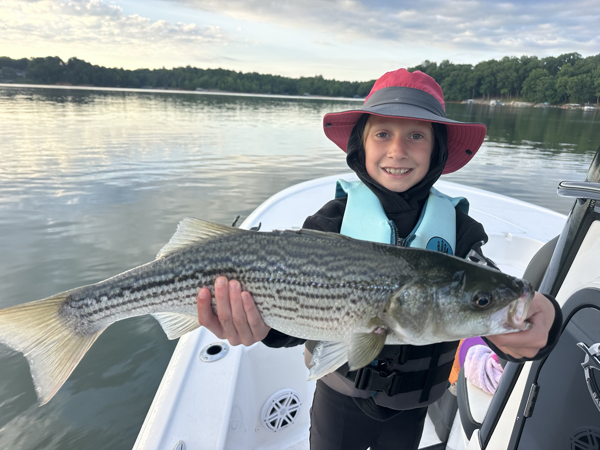 Striped Bass — May 2026