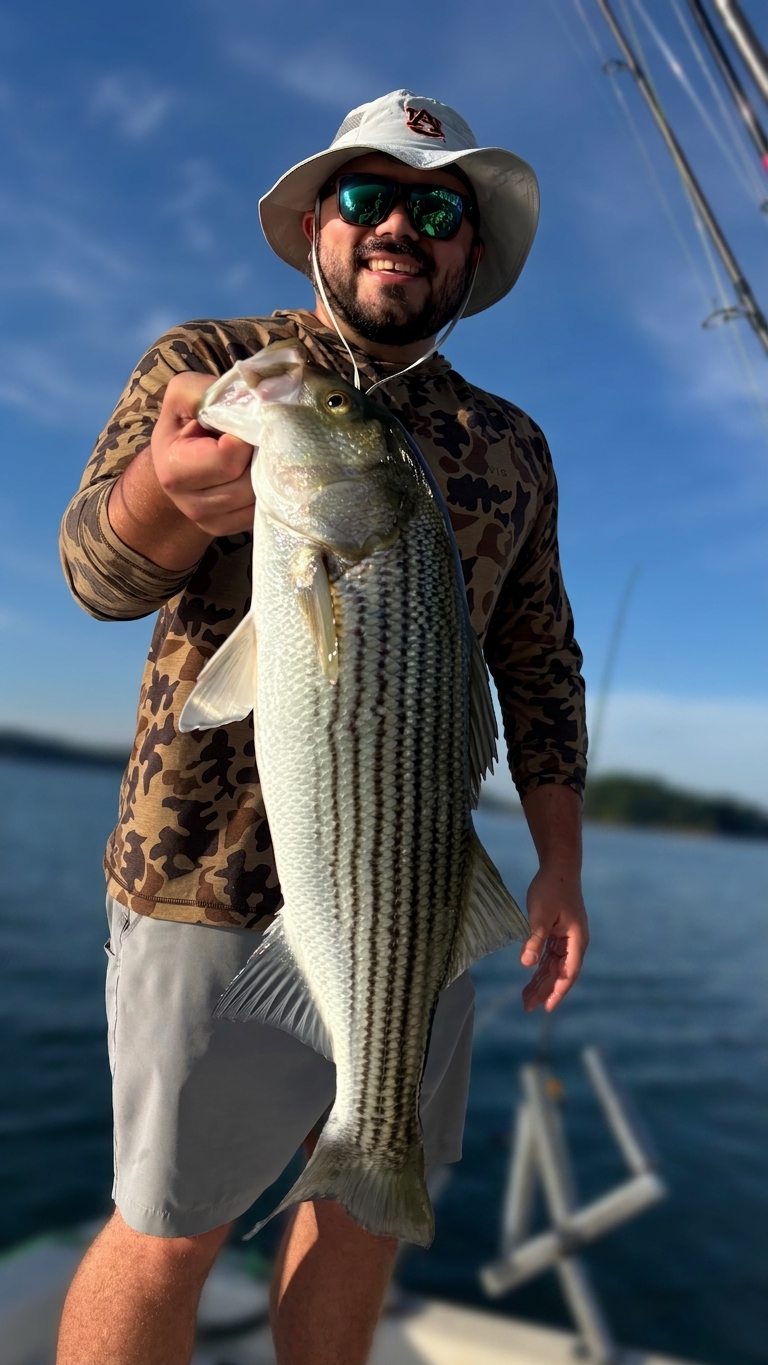 Lake Lanier bass — August 2026