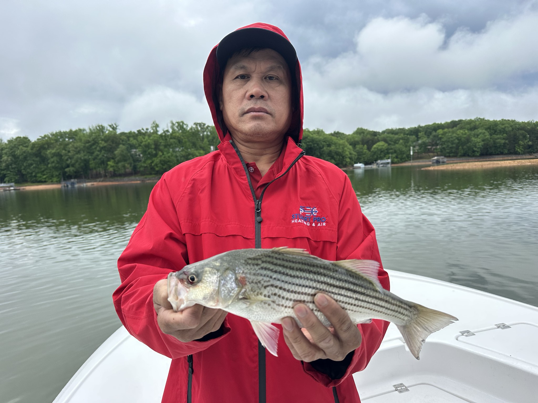 Lake Lanier May Striped Bass Success