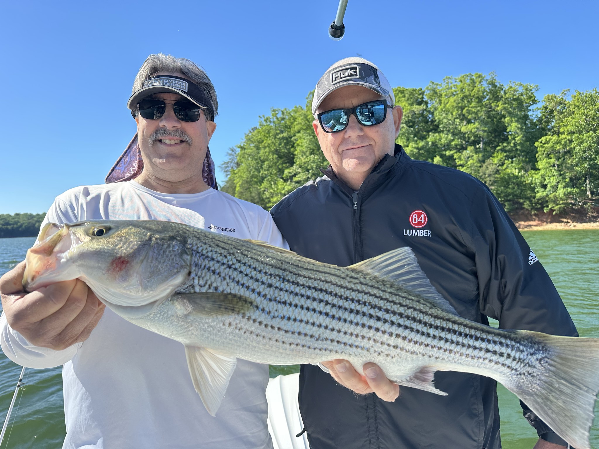 Striped Bass — May 2026