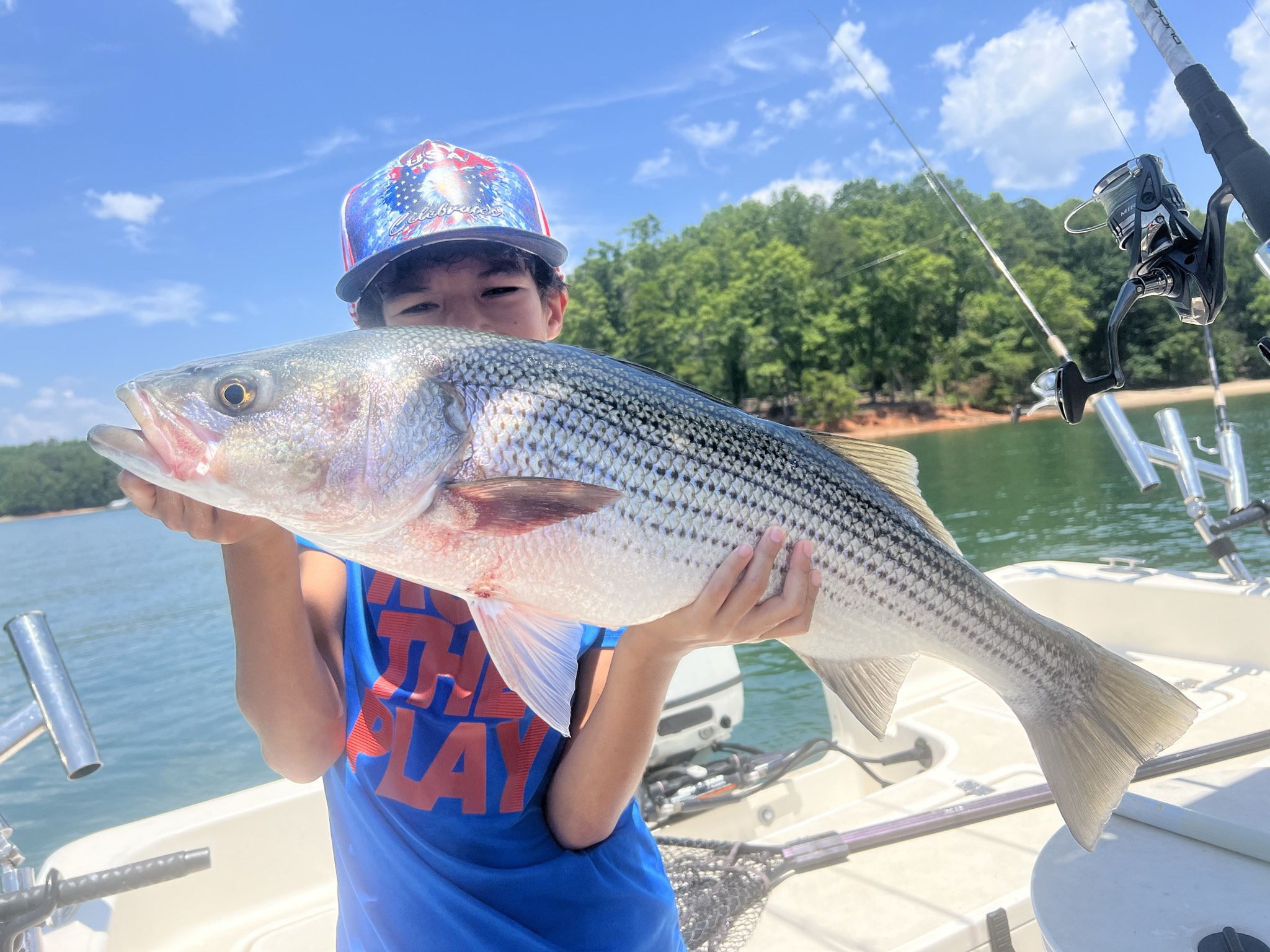 Trophy Striped Bass Lake Lanier Summer