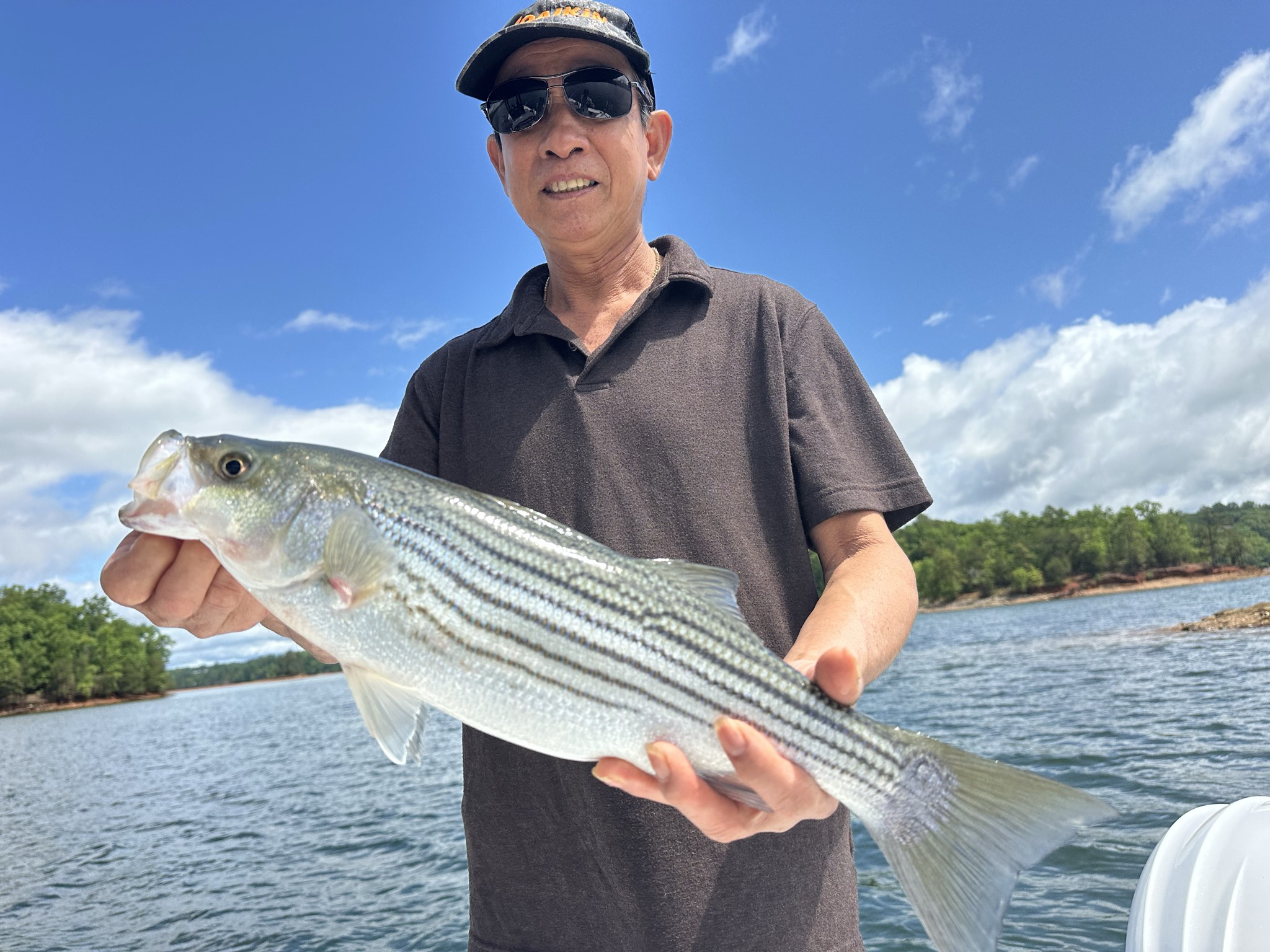 Lake Lanier May Striped Bass Success