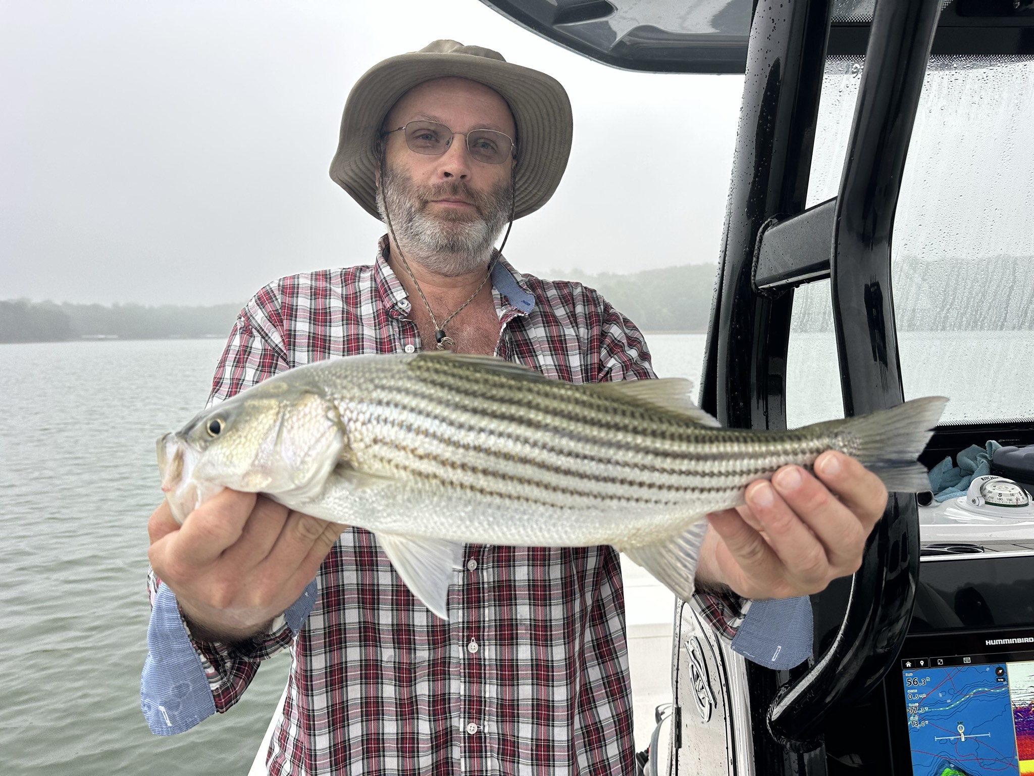 Striped Bass And Spotted Bass Action On Lake Lanier