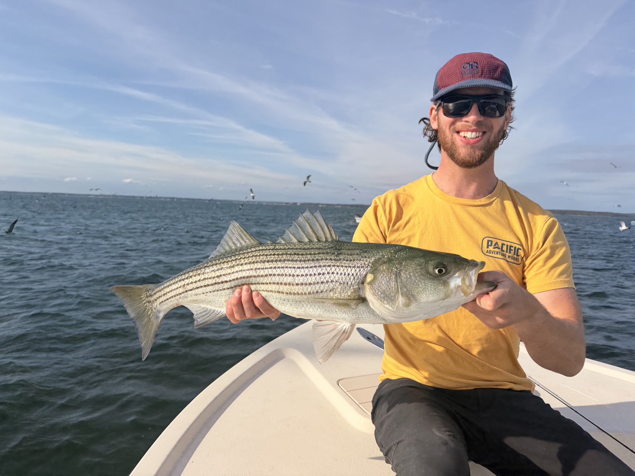 Seven Species Day Off Boston