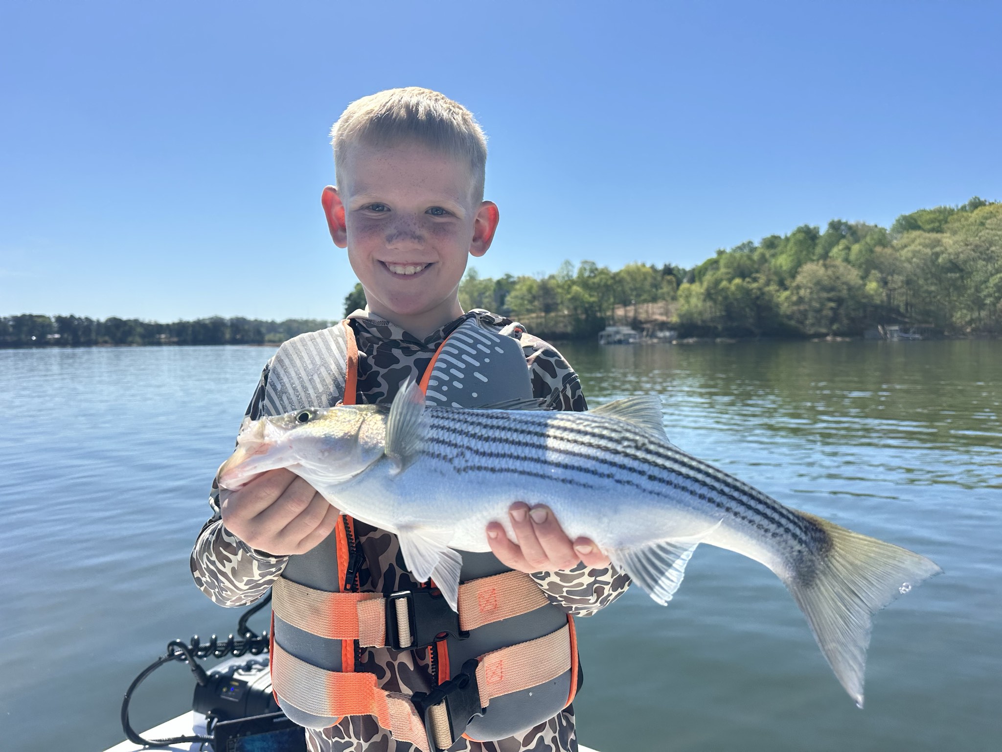 Striped Bass — April 2026