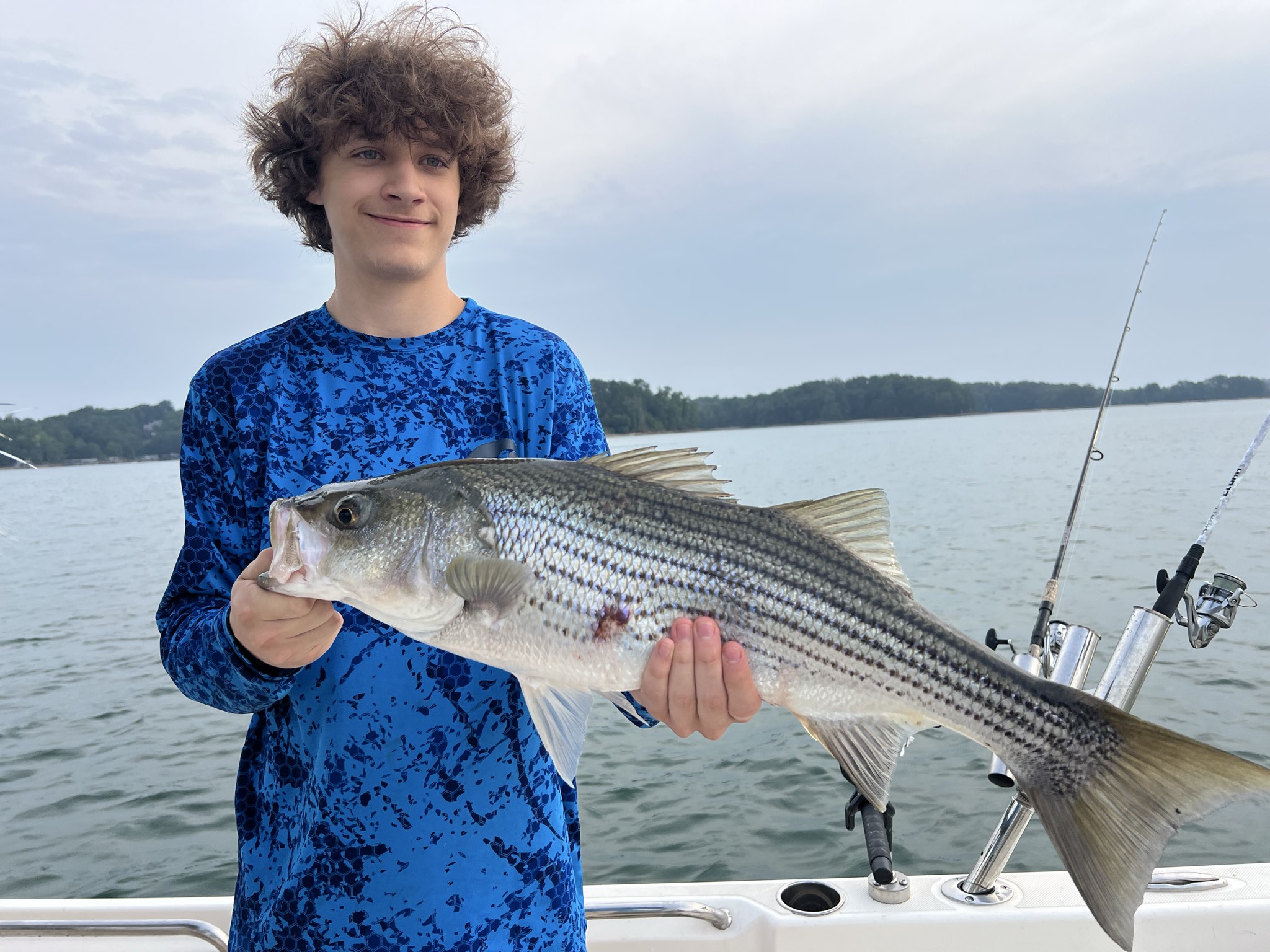 Striped Bass Action On Lake Lanier