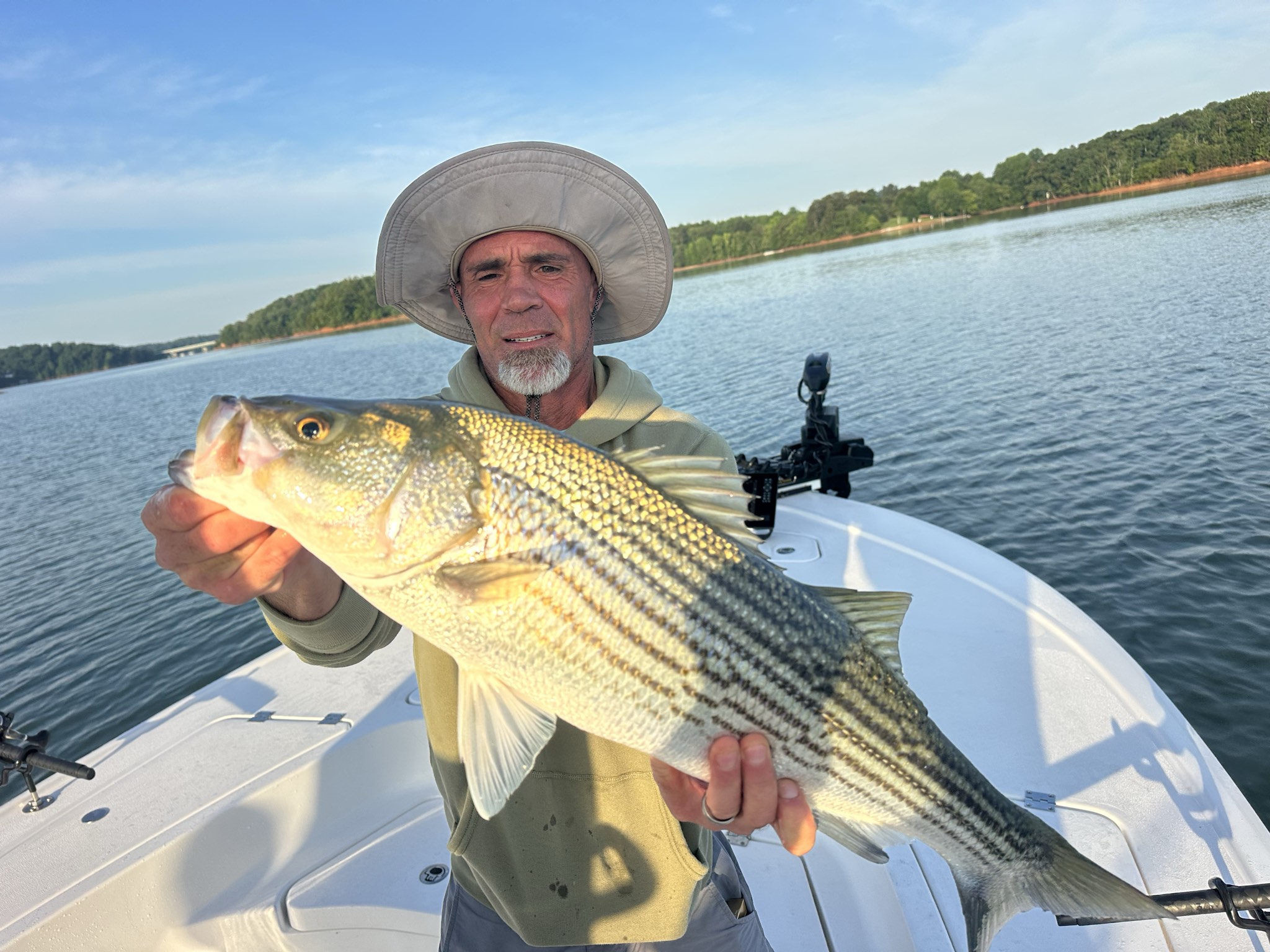 Summer Bass & Catfish on Lake Lanier