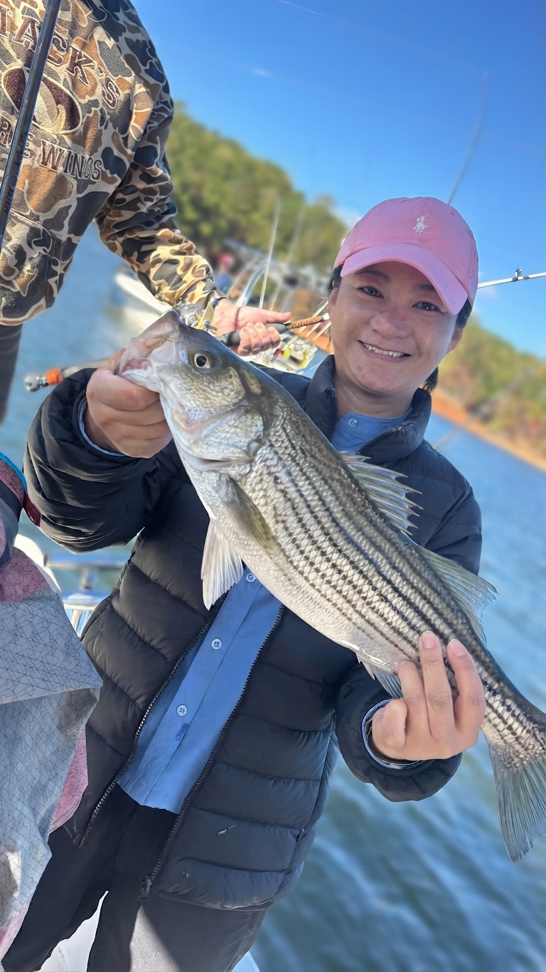 Striped bass caught on Lake Lanier, Oct 25, 2026