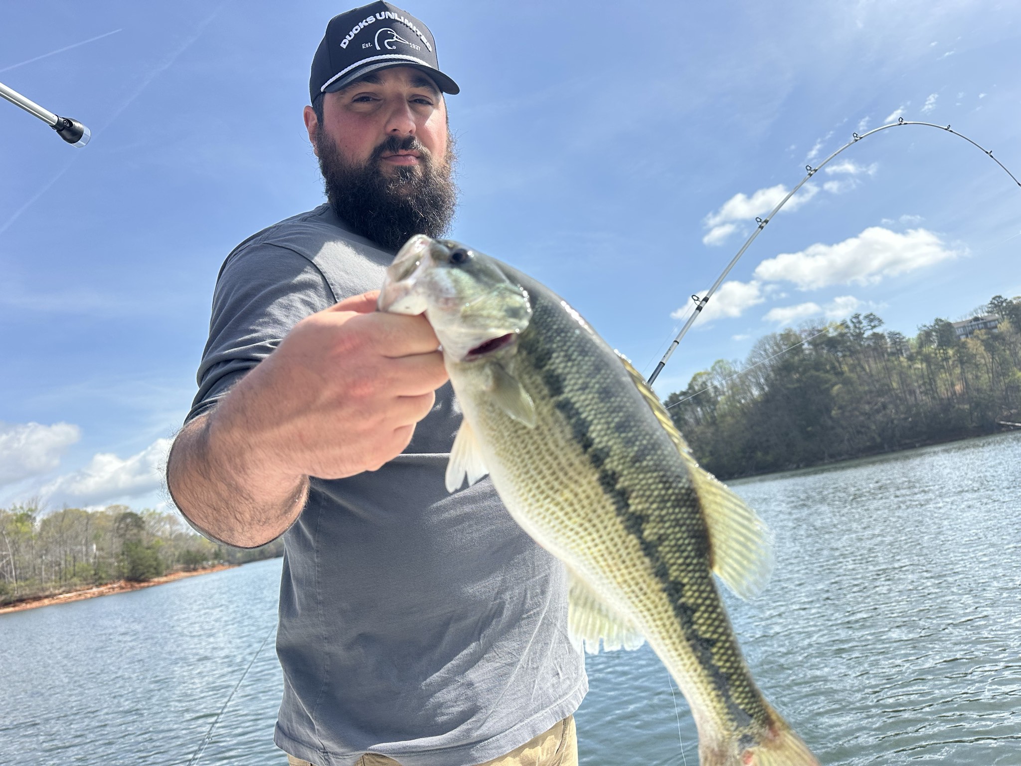Striped Bass — April 2026