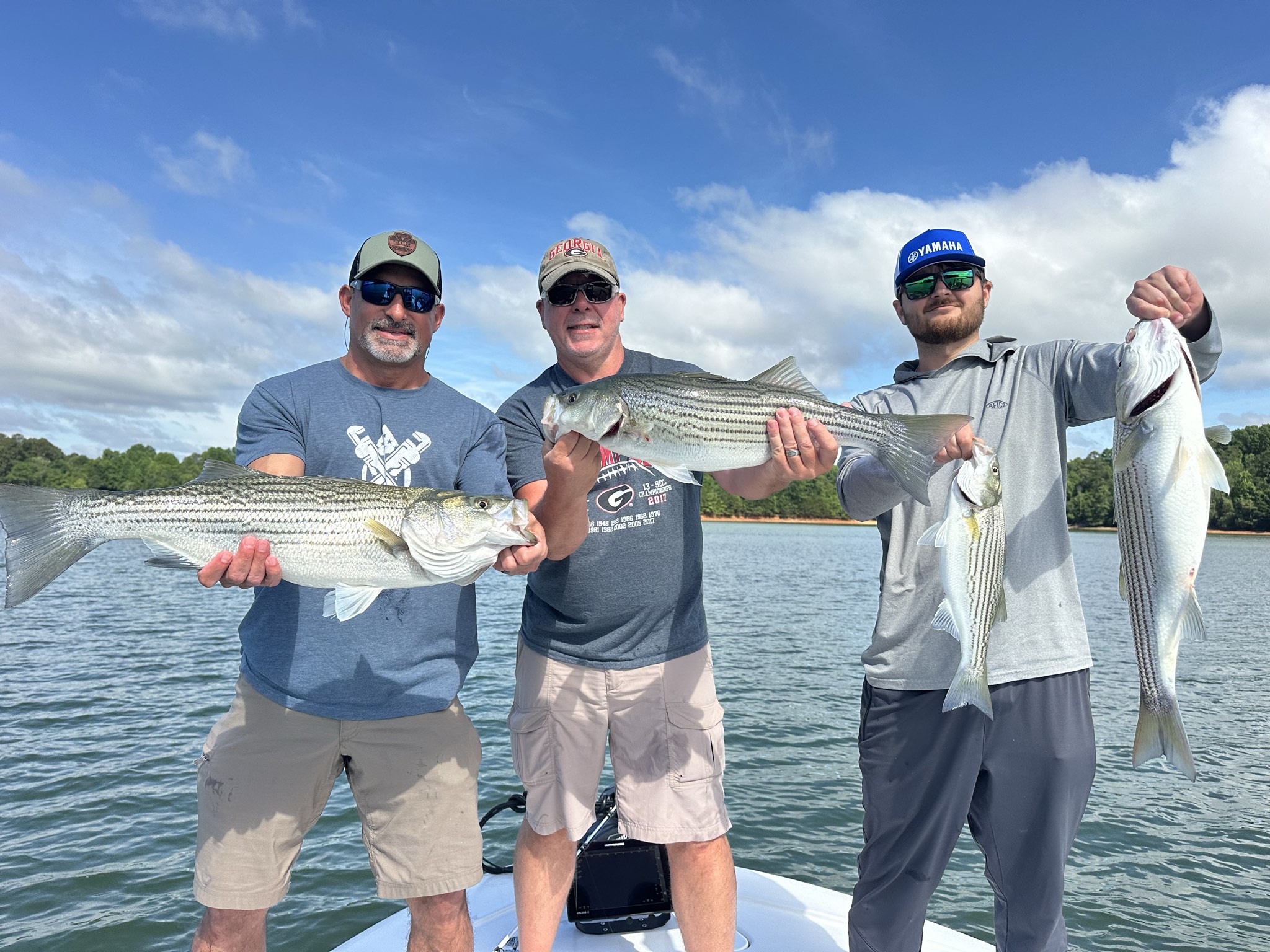 Striped Bass And Spotted Bass Dominate Lake Lanier
