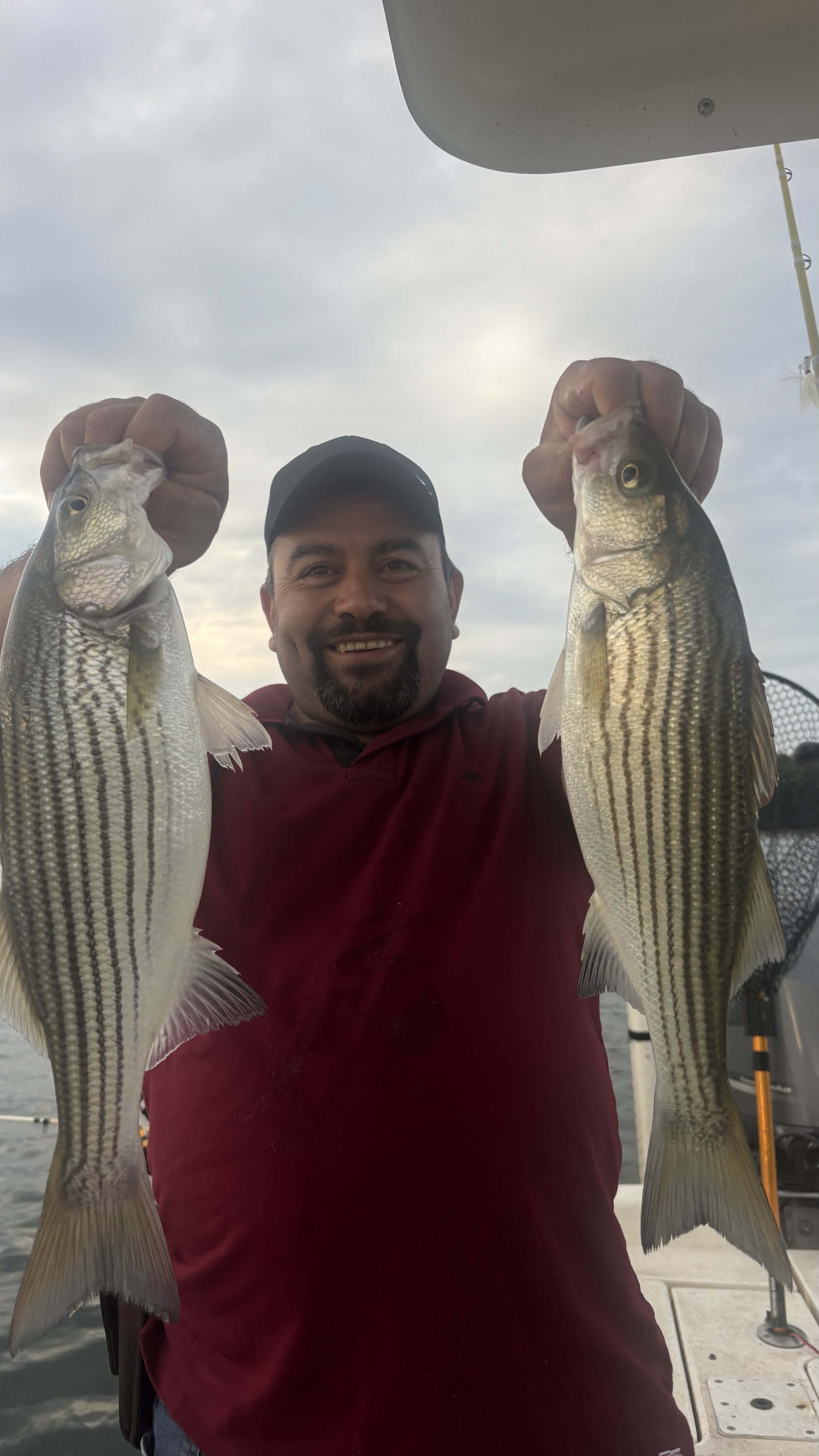 Striped Bass And Gar Action Lake Lanier
