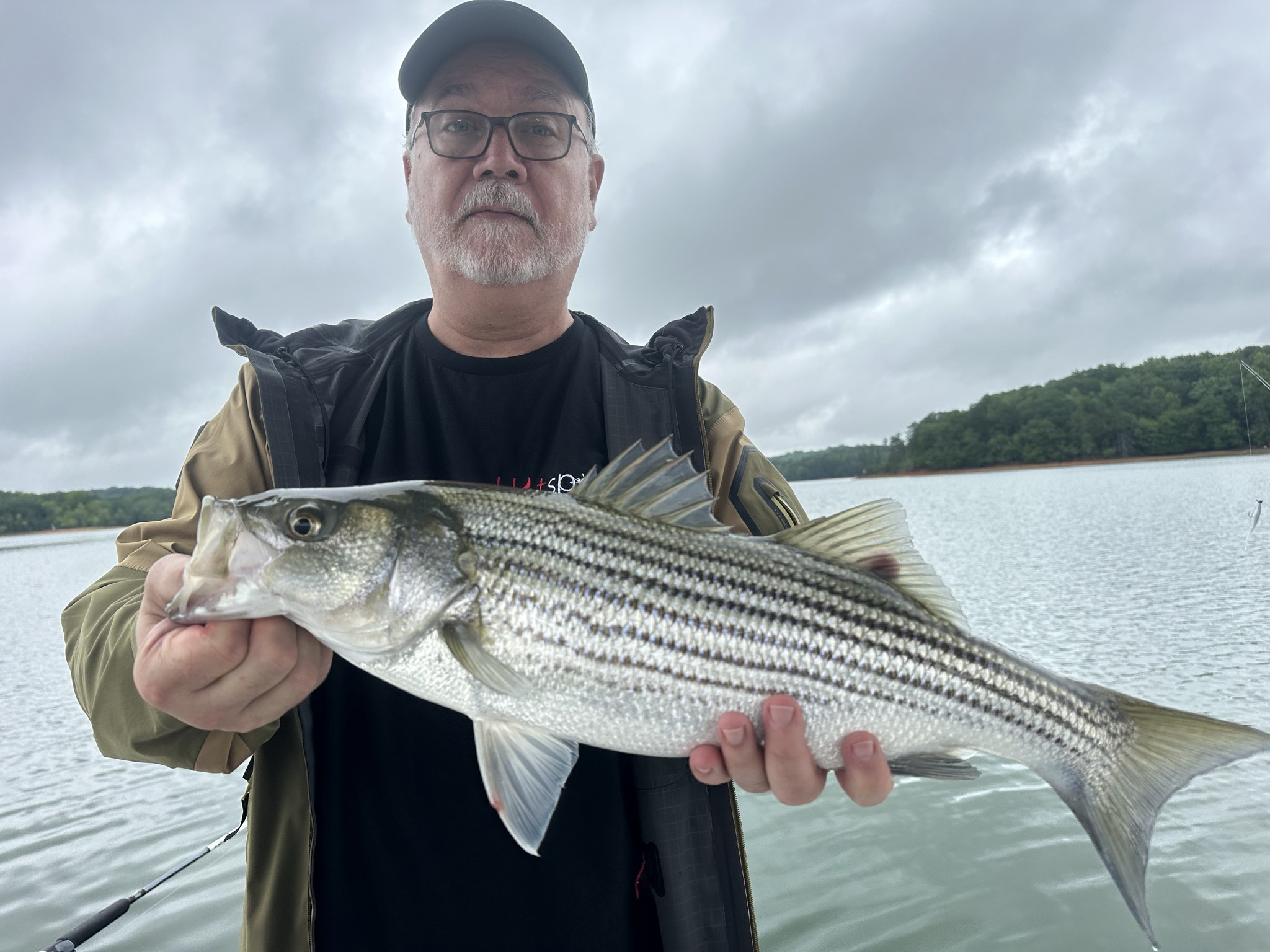Striped Bass And Spotted Bass Action On Lake Lanier