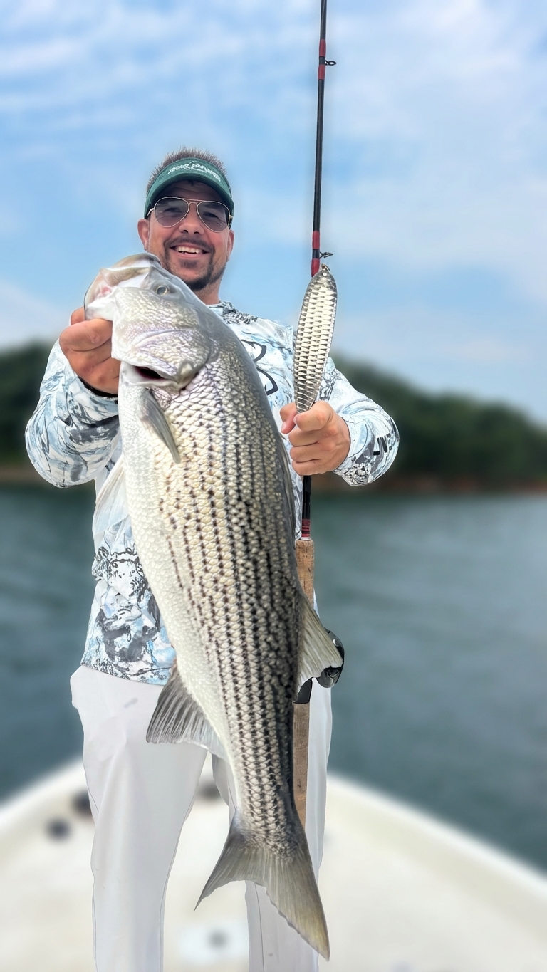 Striped And Spotted Bass On Lake Lanier