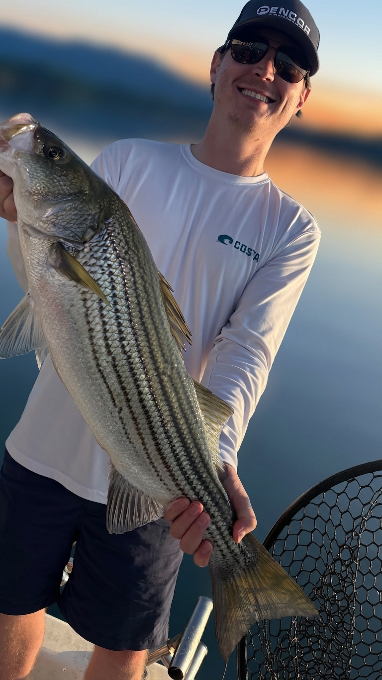 Striped bass caught on Lake Lanier, Sept 4, 2026