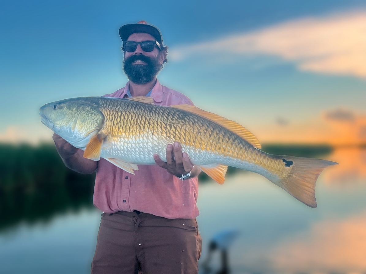 Venice, Louisiana Red drum — September 2026