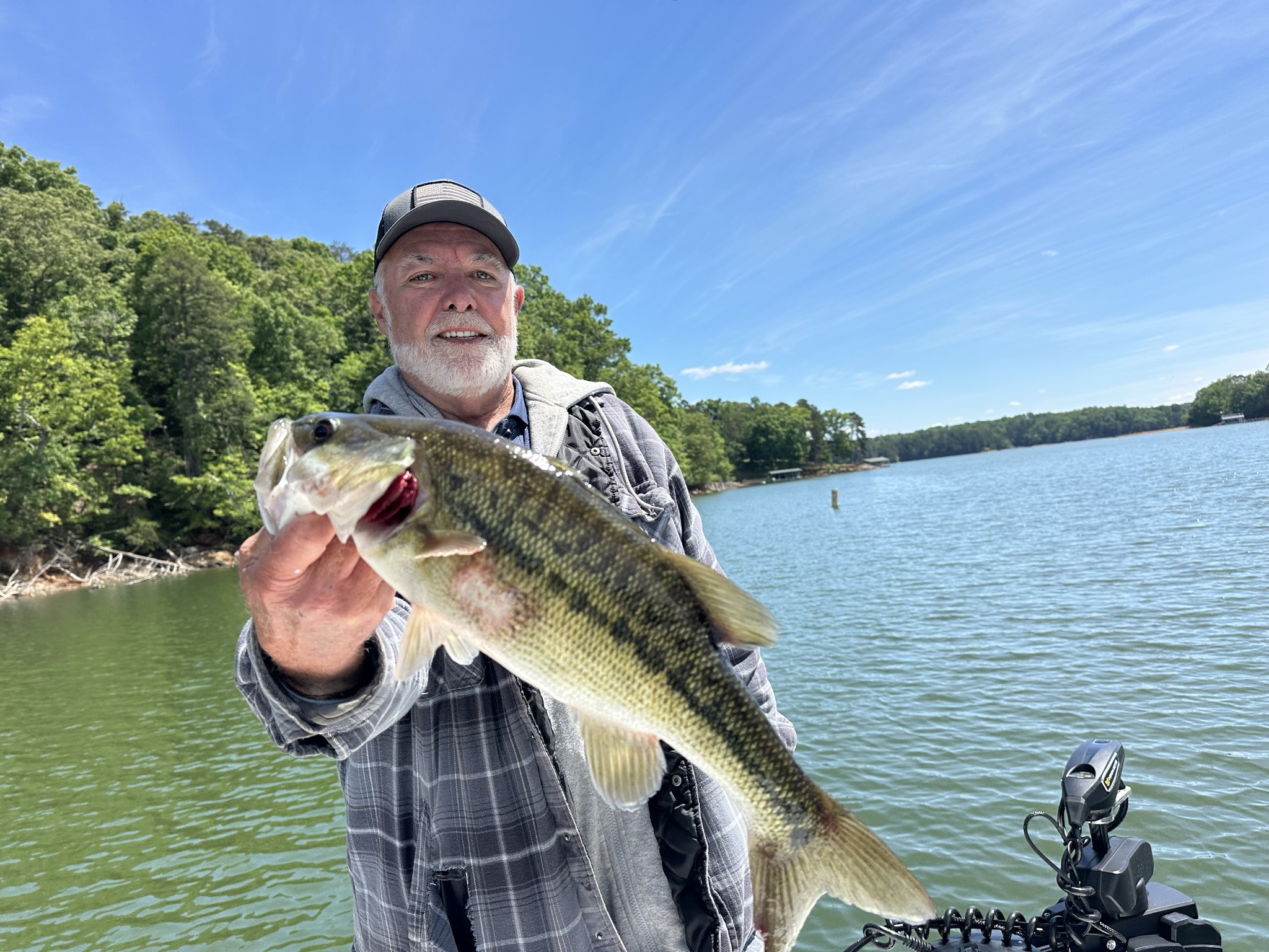 Striped Bass — May 2026
