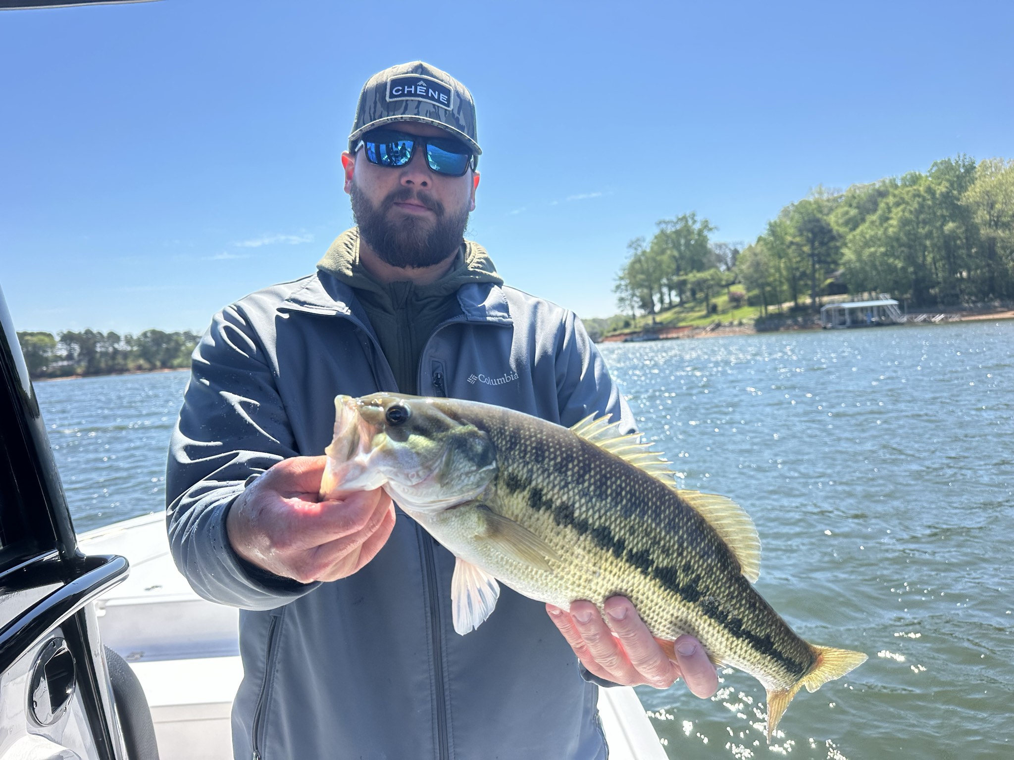 Striped And Spotted Bass Lake Lanier April