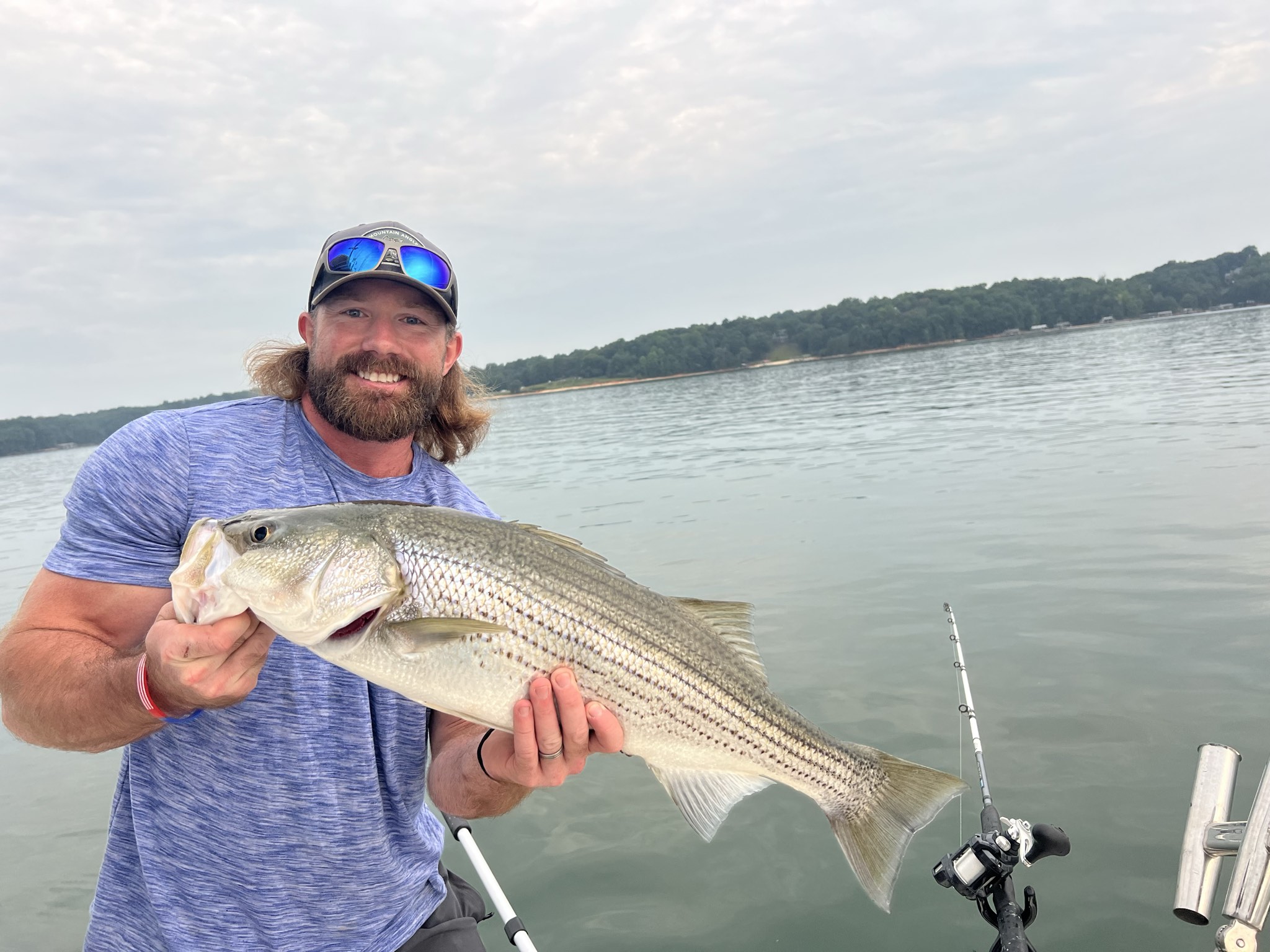 Striped Bass Action On Lake Lanier