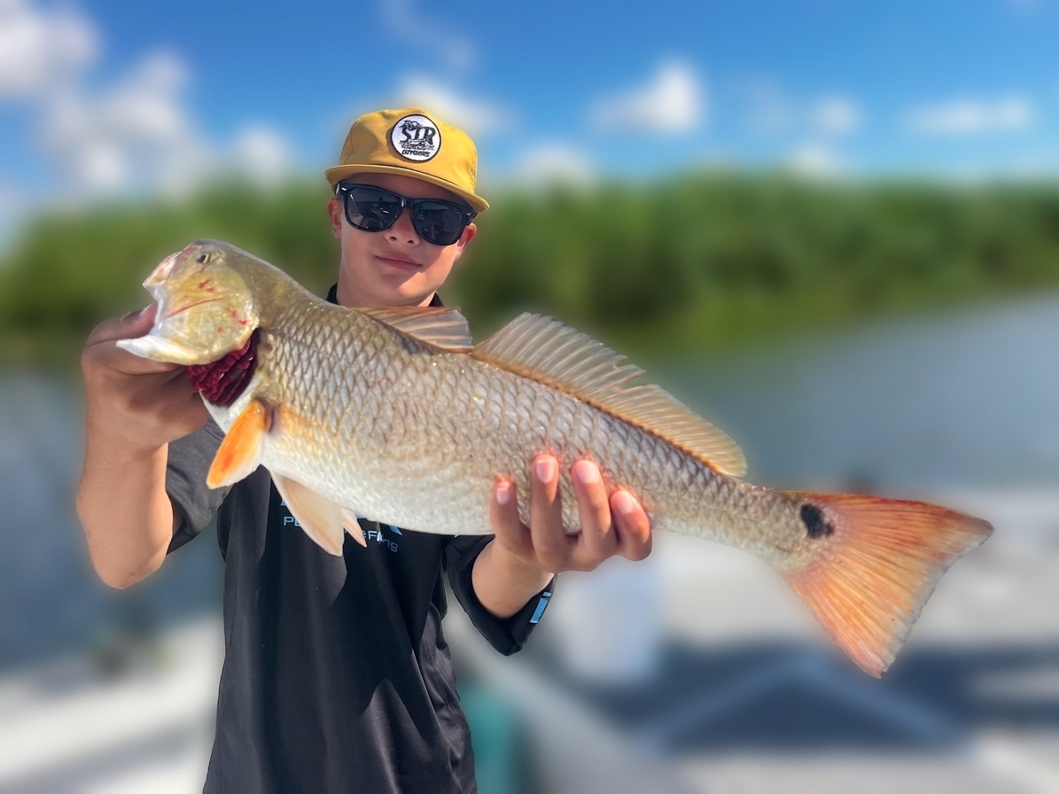 Venice, Louisiana Red drum — September 2026