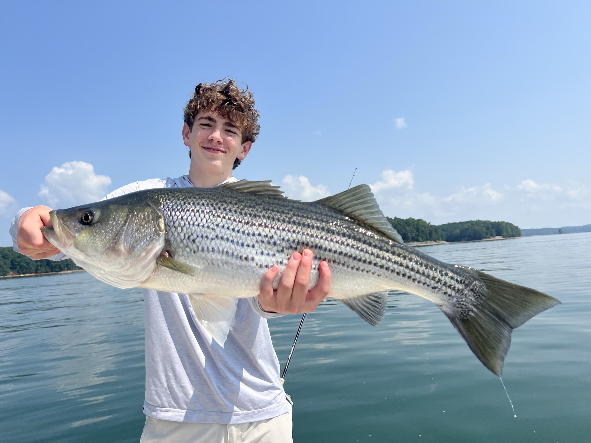 Striped Bass And Spotted Bass Lake Lanier