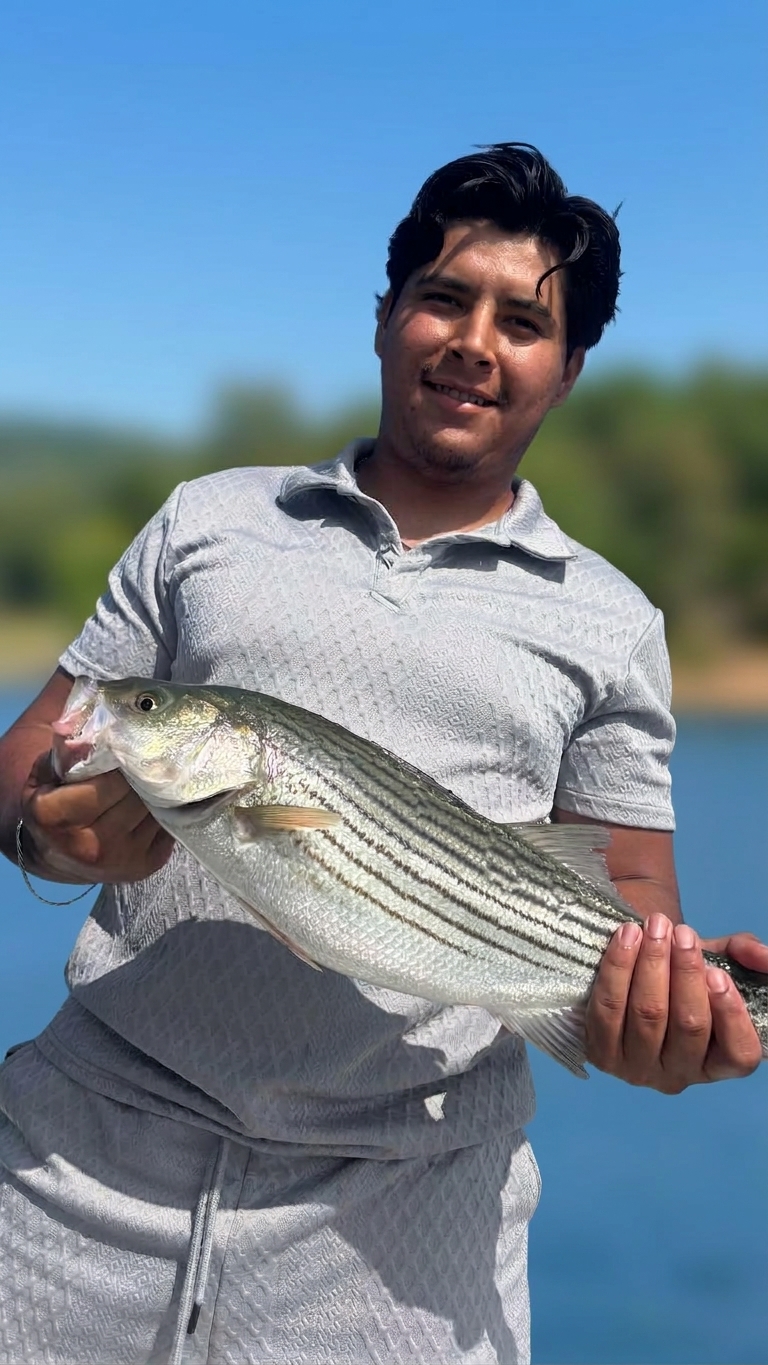 Striped bass caught on Lake Lanier, Sept 19, 2026