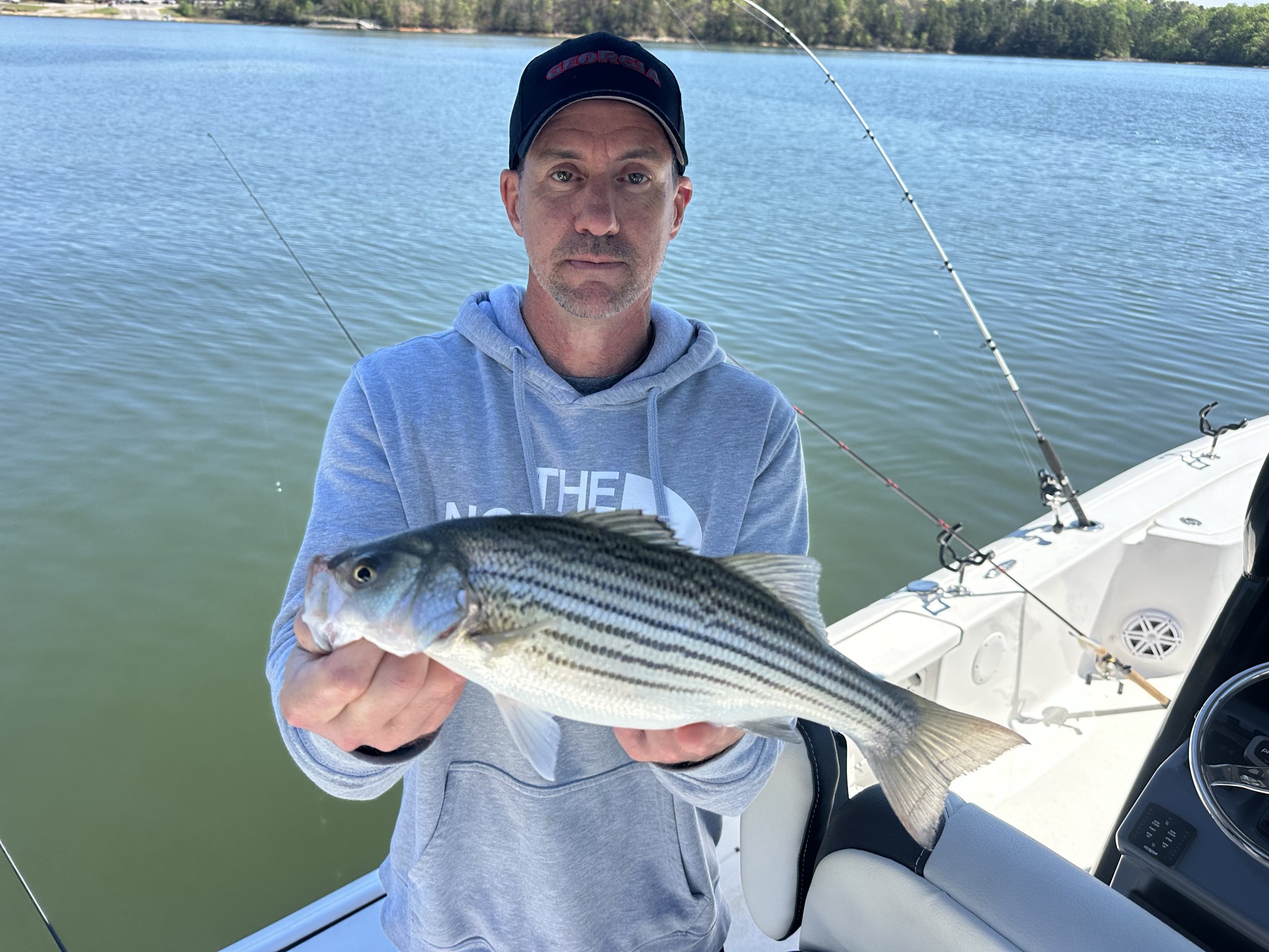 April Striped Bass And Spotted Bass On Lake Lanier