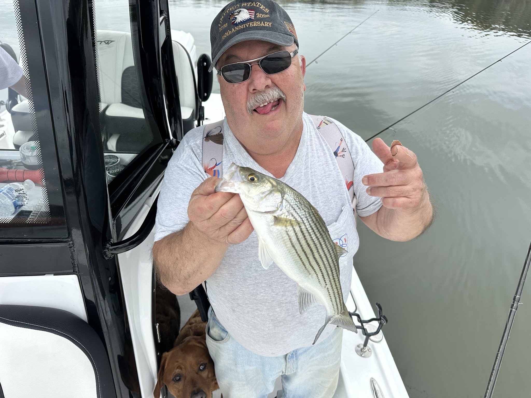 Striped Bass — April 2026